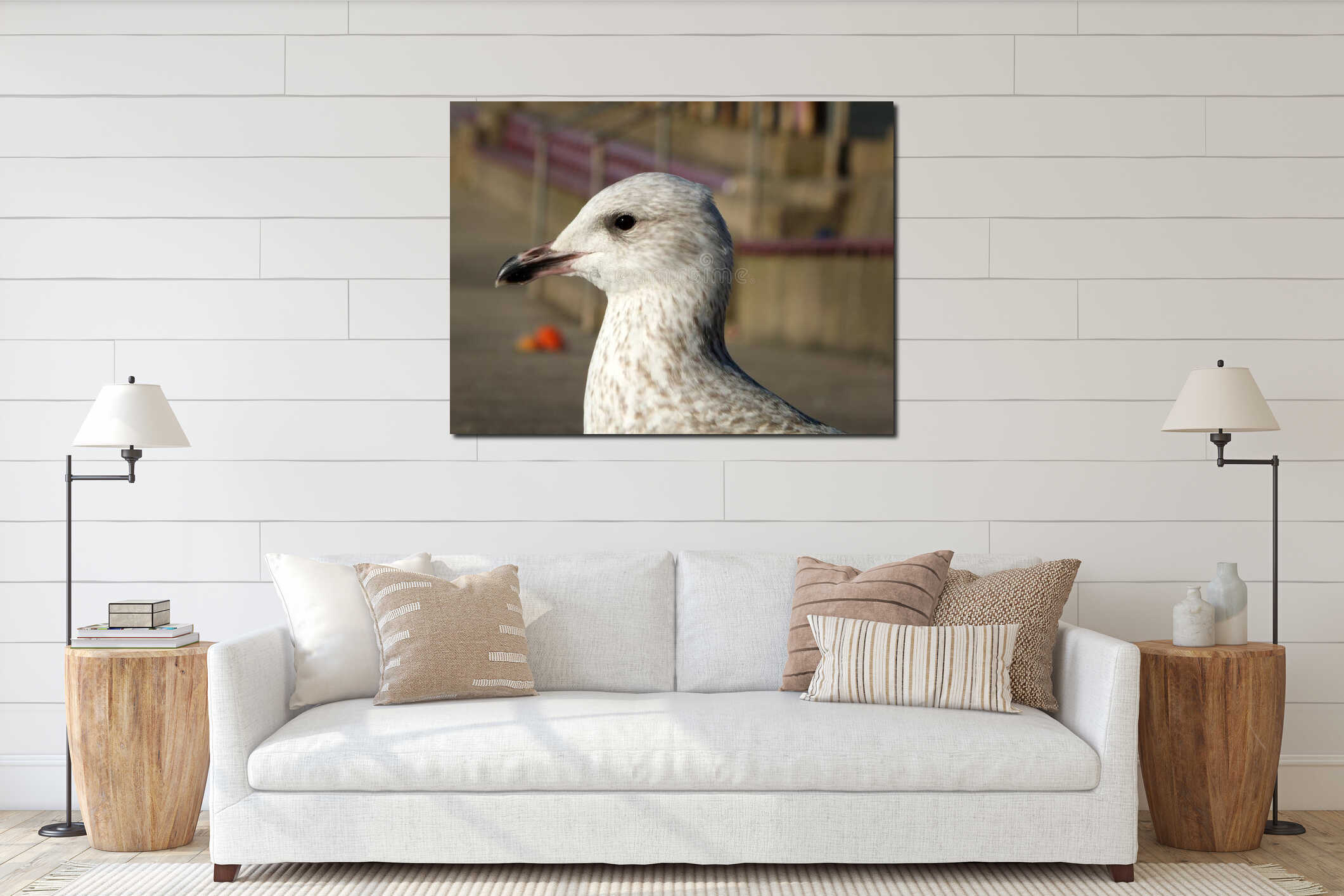 Close up head of a juvenile herring gull sitting on the steps in the promenade area of blackpool interior mockup