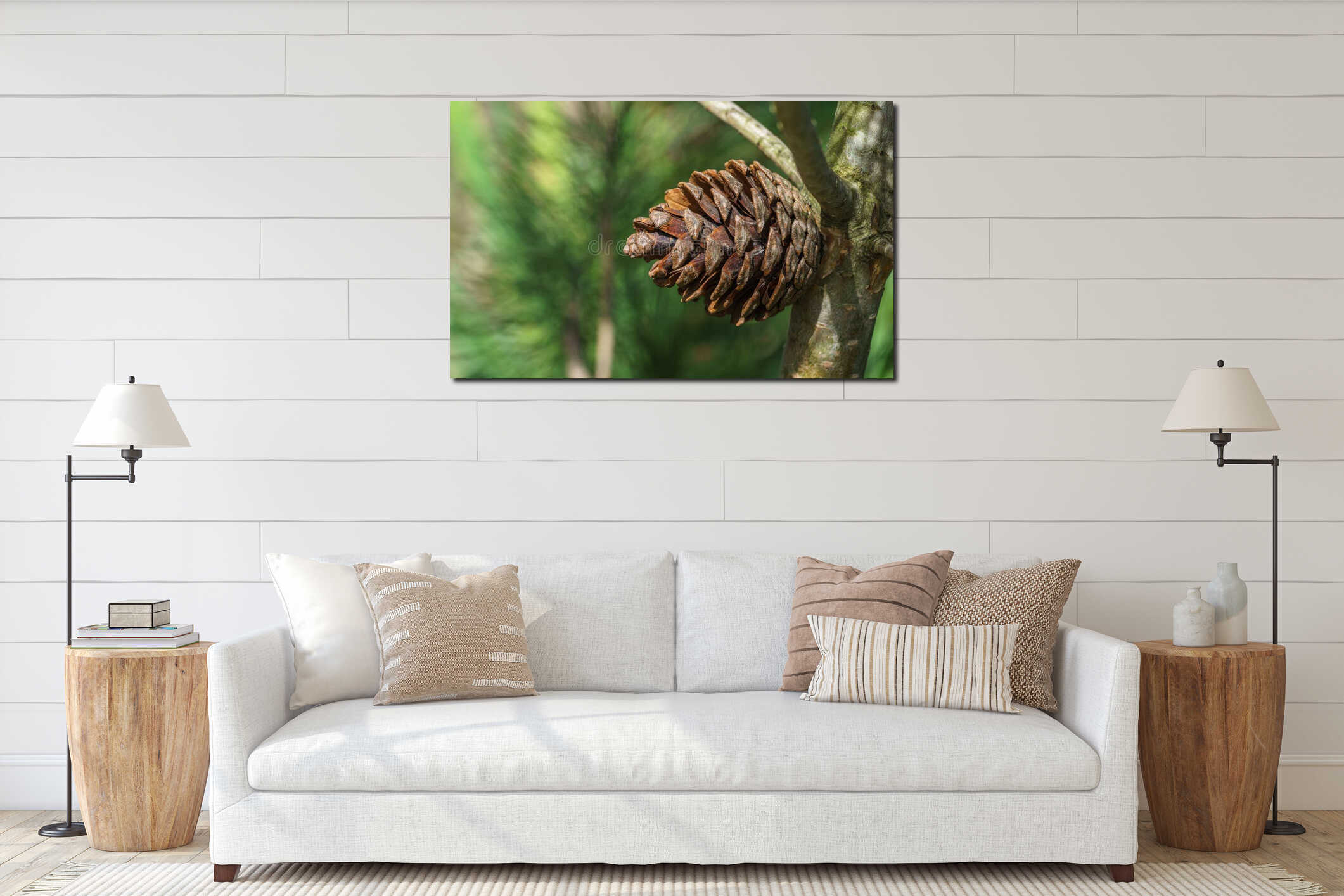 Beautiful large brown pine cone on a trunk of Calabrian or Turkish Pine Pinus brutia interior mockup