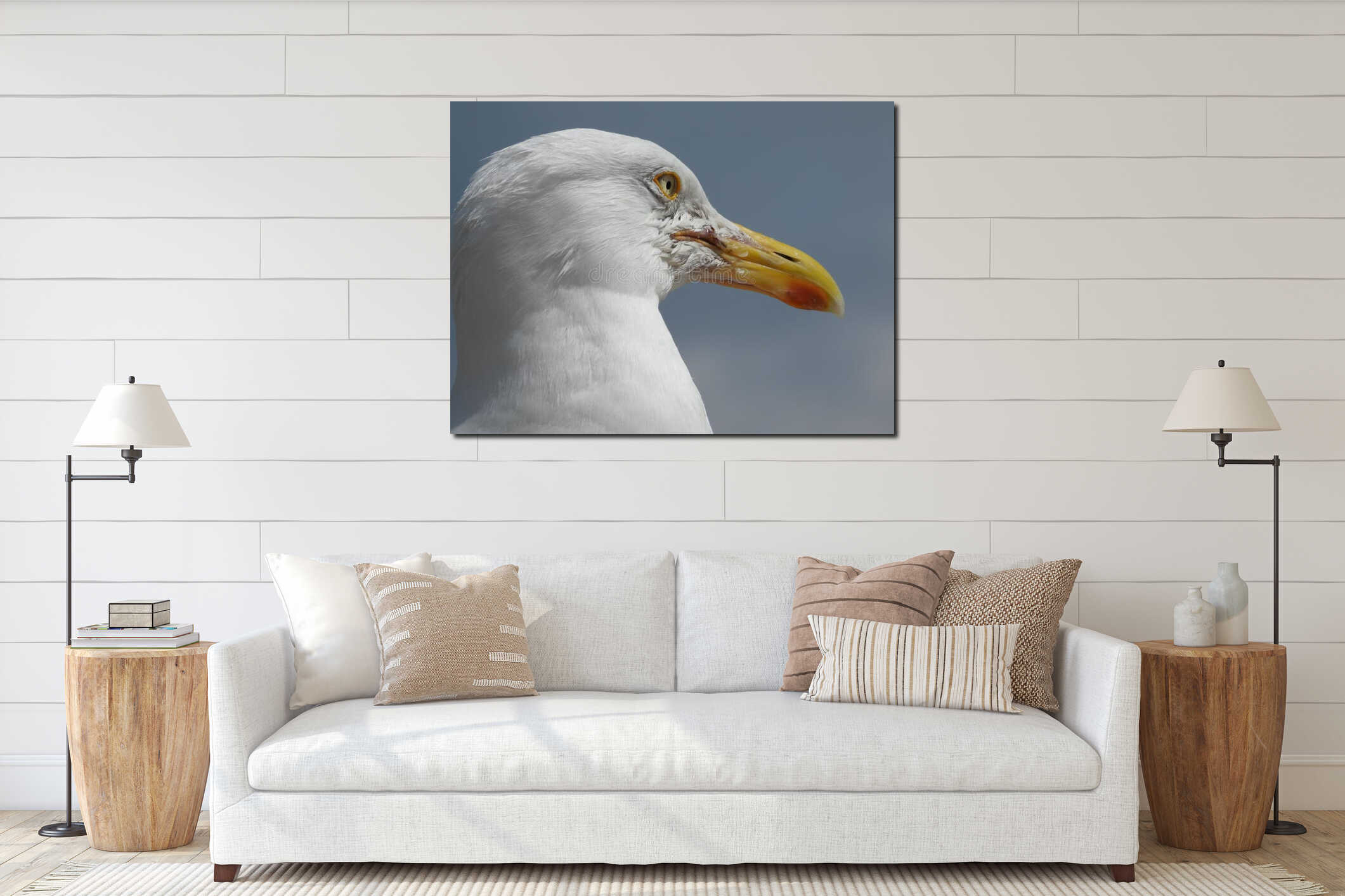 Herring gull portrait taken at Lyme Regis beach interior mockup