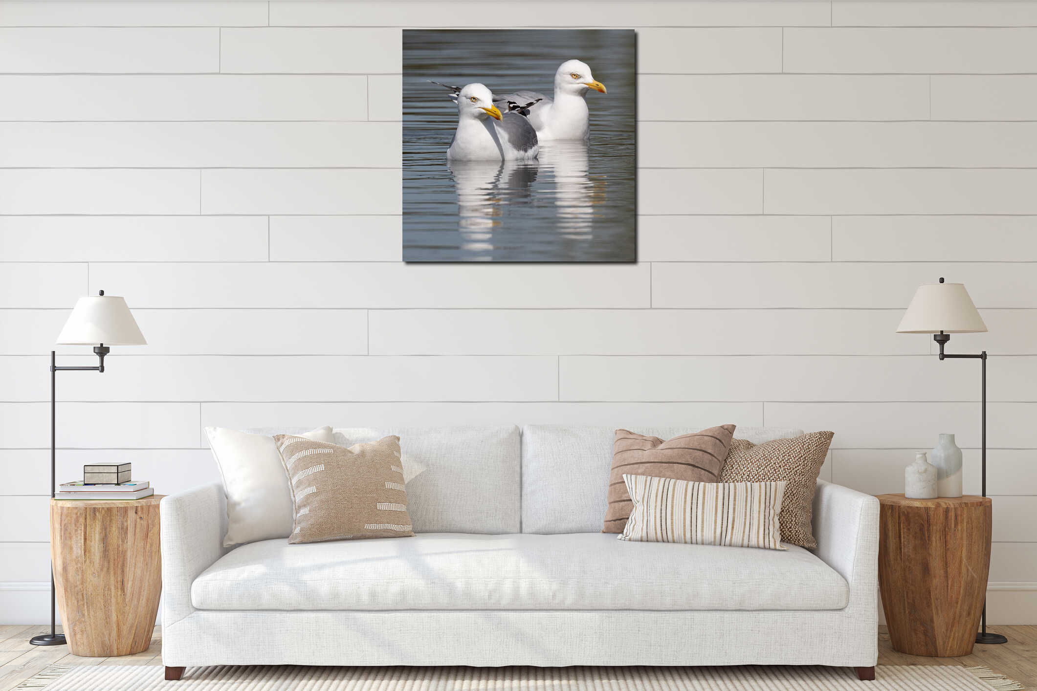 Two yellow-legged gulls  swimming interior mockup