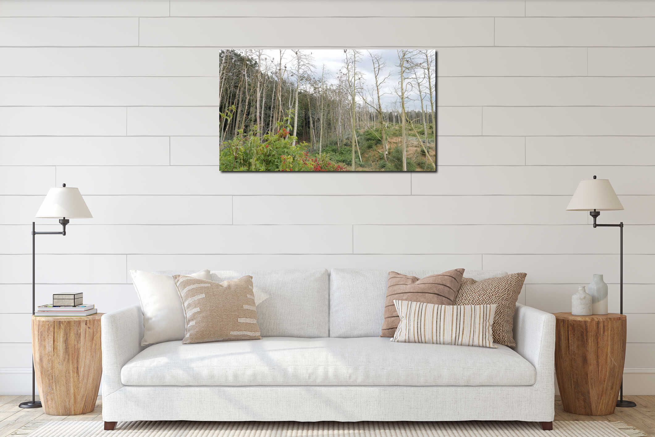 Cormorants nests on a dead trees. Phalacrocorax carbo. interior mockup