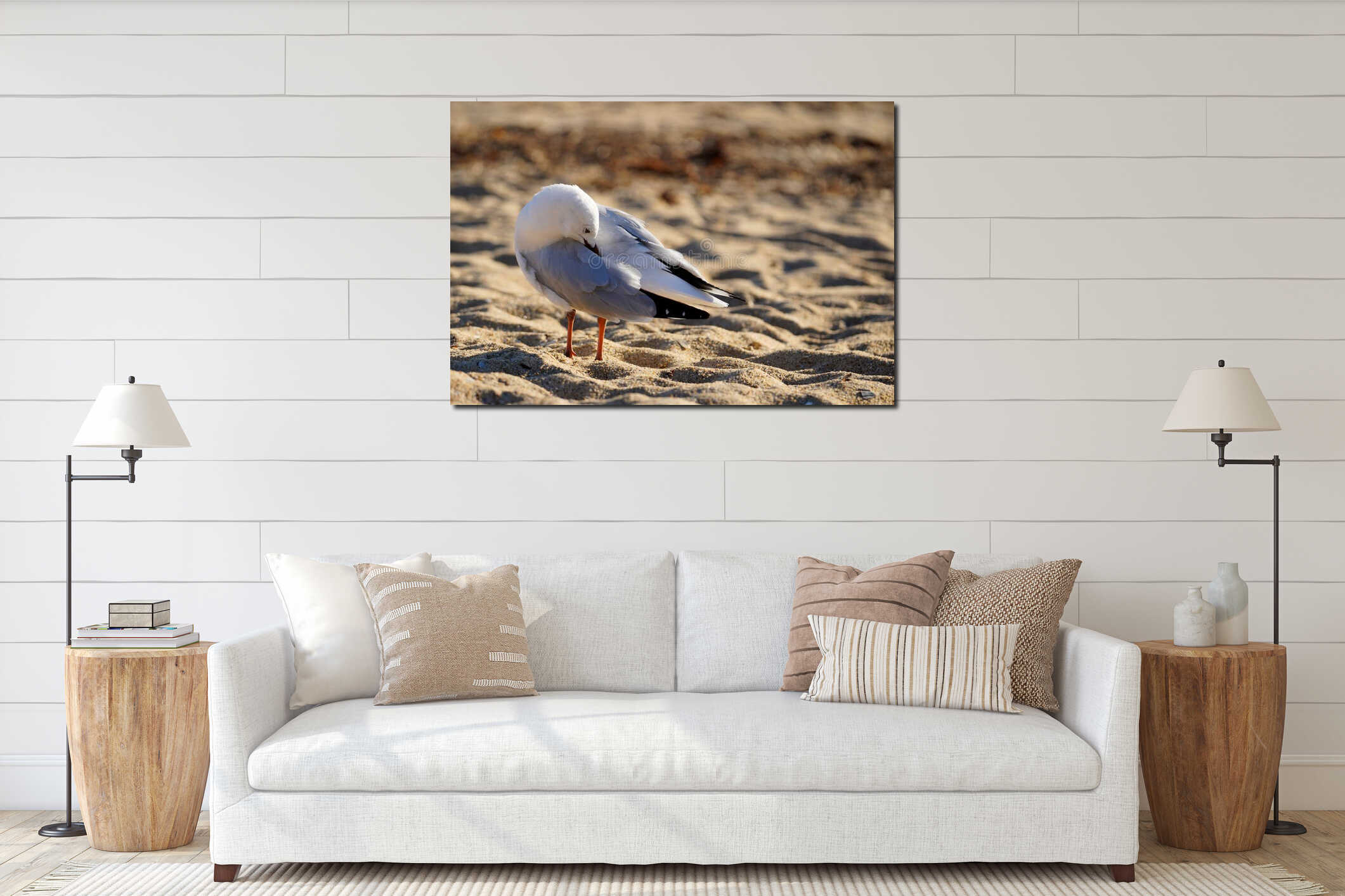 White colored seagull sea bird standing on sand interior mockup