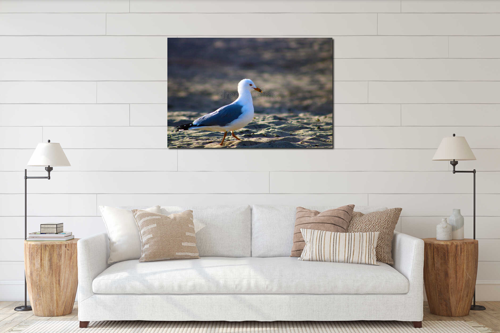 A close up shot of a white and gray seagull standing on the beach surrounded by silky brown sand at Malibu Lagoon interior mockup