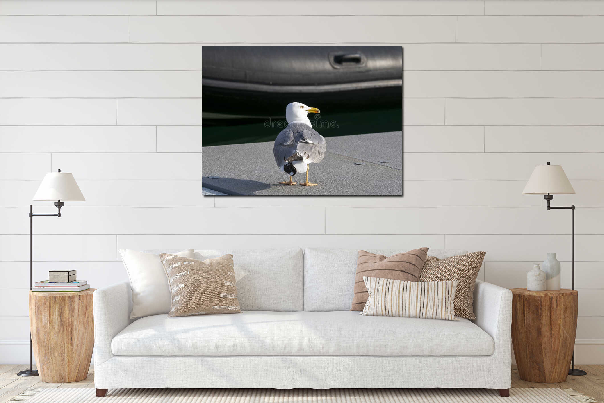 Black and white seagull standing on harbourside with space for copy interior mockup