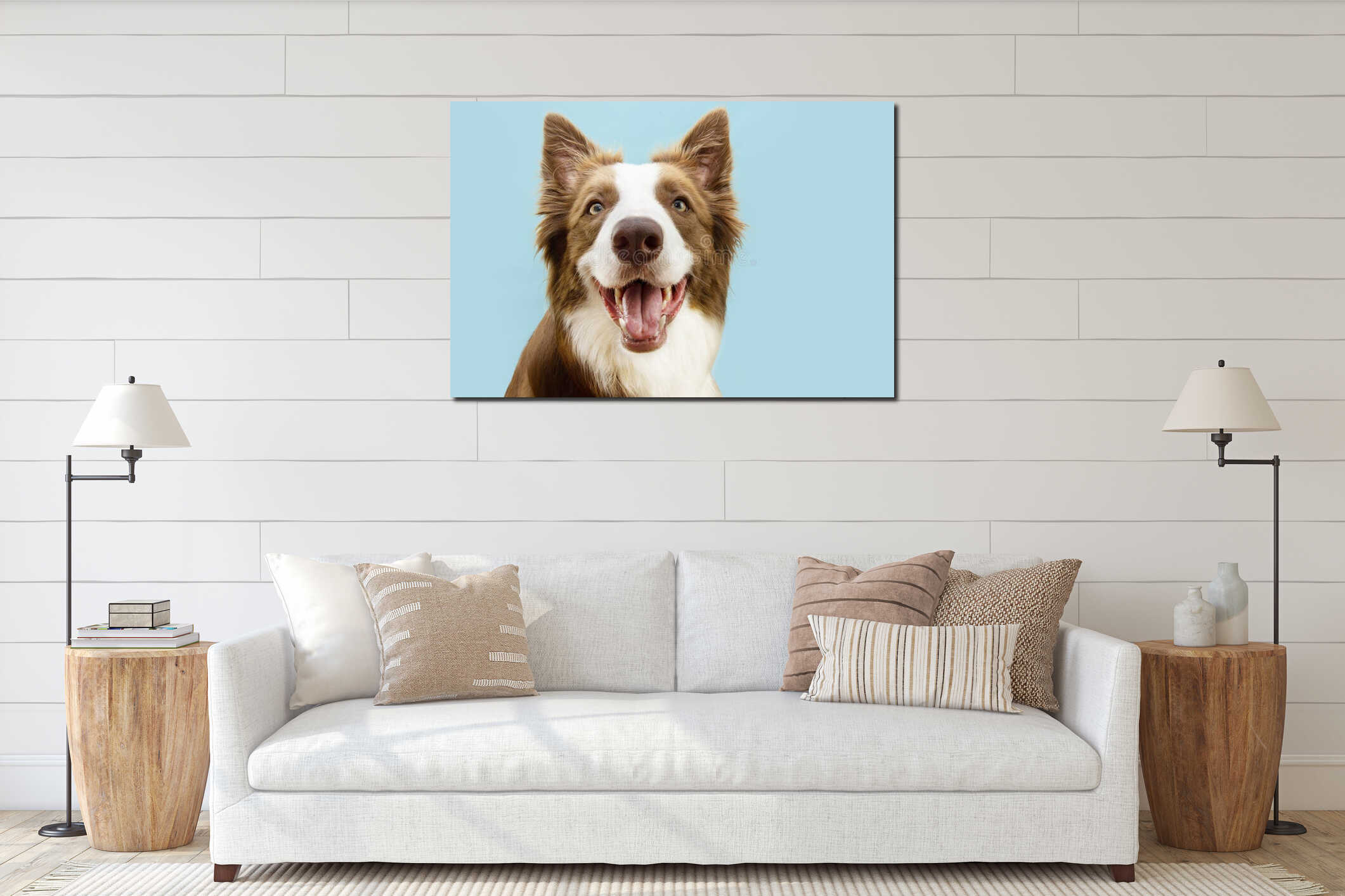 Portrait brown border collie puppy dog with happy expression. Isolated on blue pastel background interior mockup