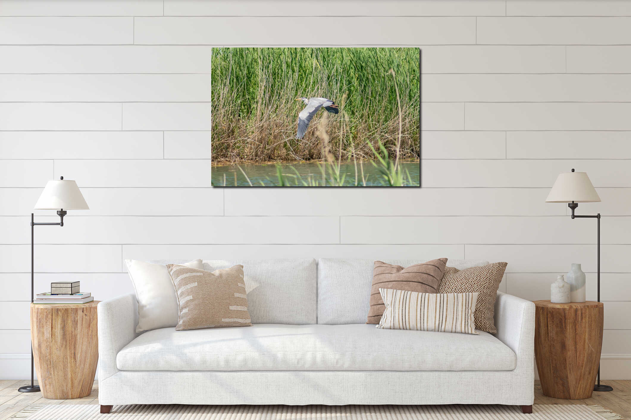 Black-crowned night heron in the sky. Black-crowned night heron flies in the sky. Beautiful birds with big wings. interior mockup
