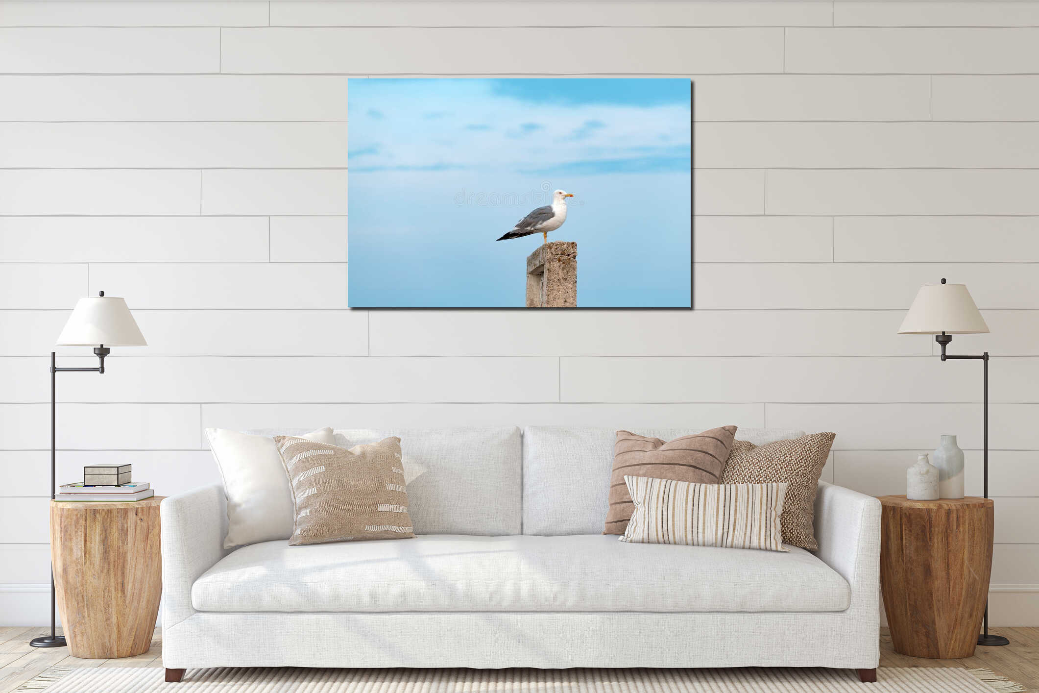 Seagull bird standing on the seashore interior mockup