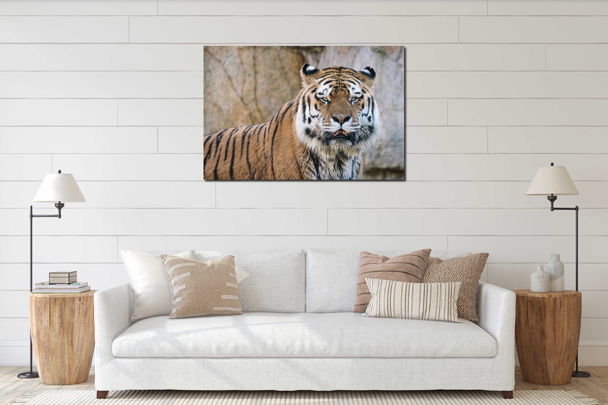 Siberian tiger. Elegant big cat. endangered predator. white,black,orange striped fur interior mockup