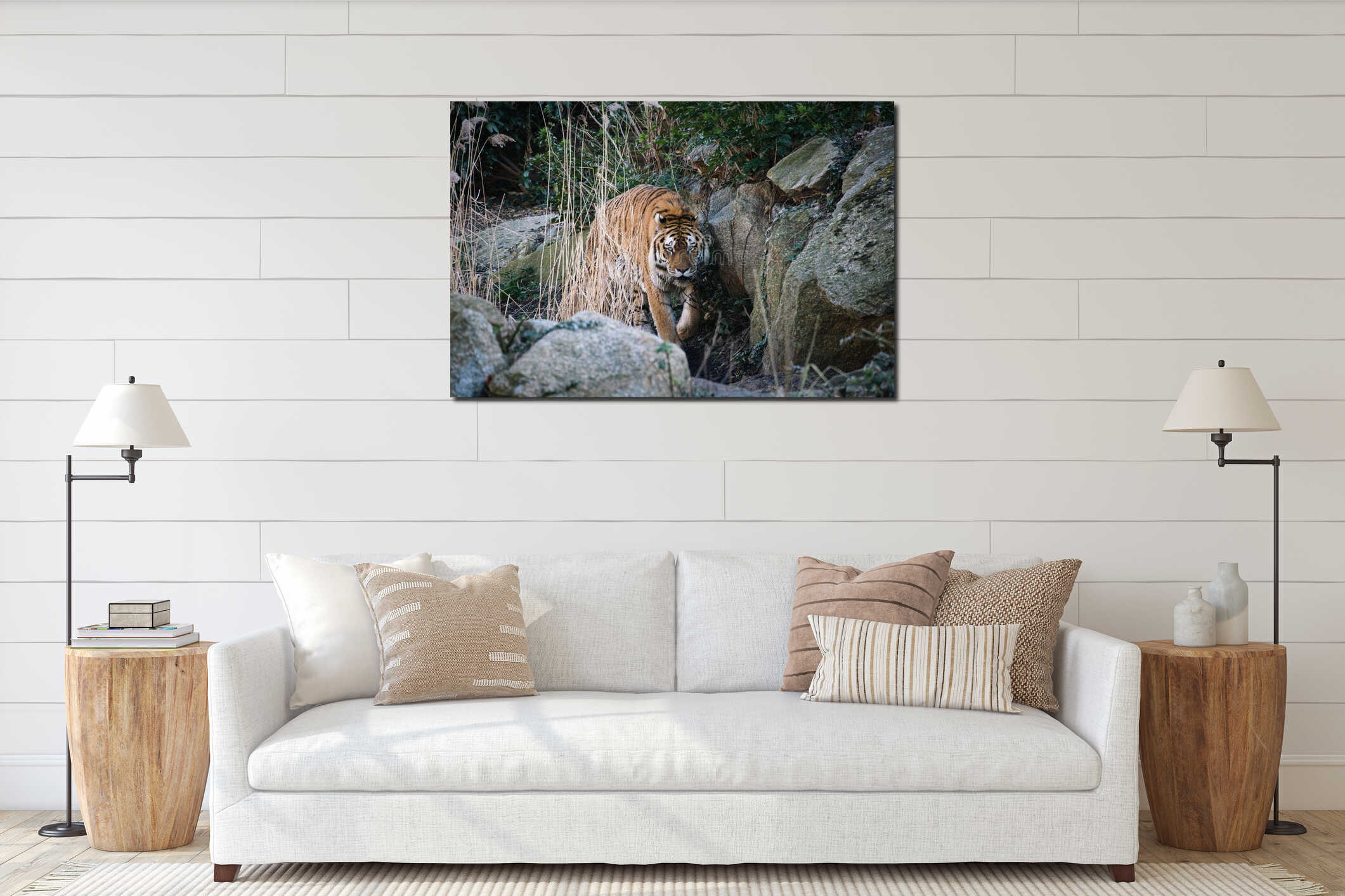 Siberian tiger. Elegant big cat. endangered predator. white,black,orange striped fur interior mockup