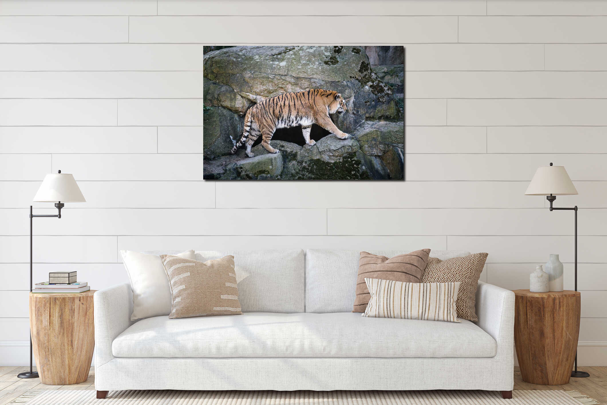 Siberian tiger. Elegant big cat. endangered predator. white,black,orange striped fur interior mockup