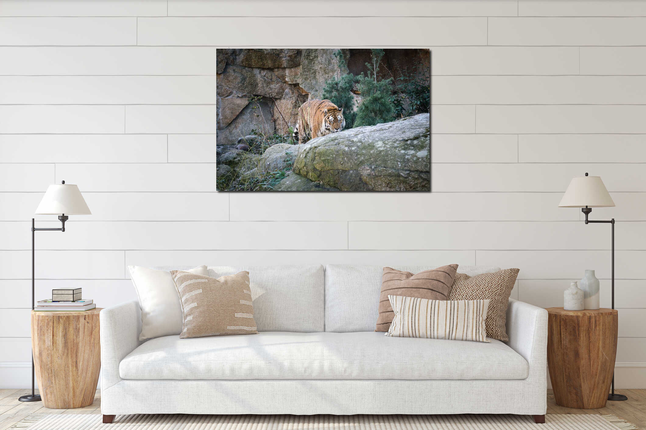 Siberian tiger. Elegant big cat. endangered predator. white,black,orange striped fur interior mockup