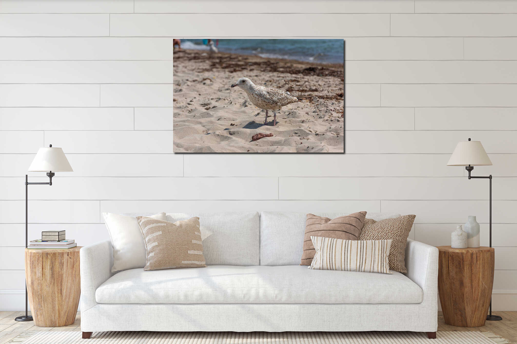 Young seagull walking on a sand beach.. interior mockup