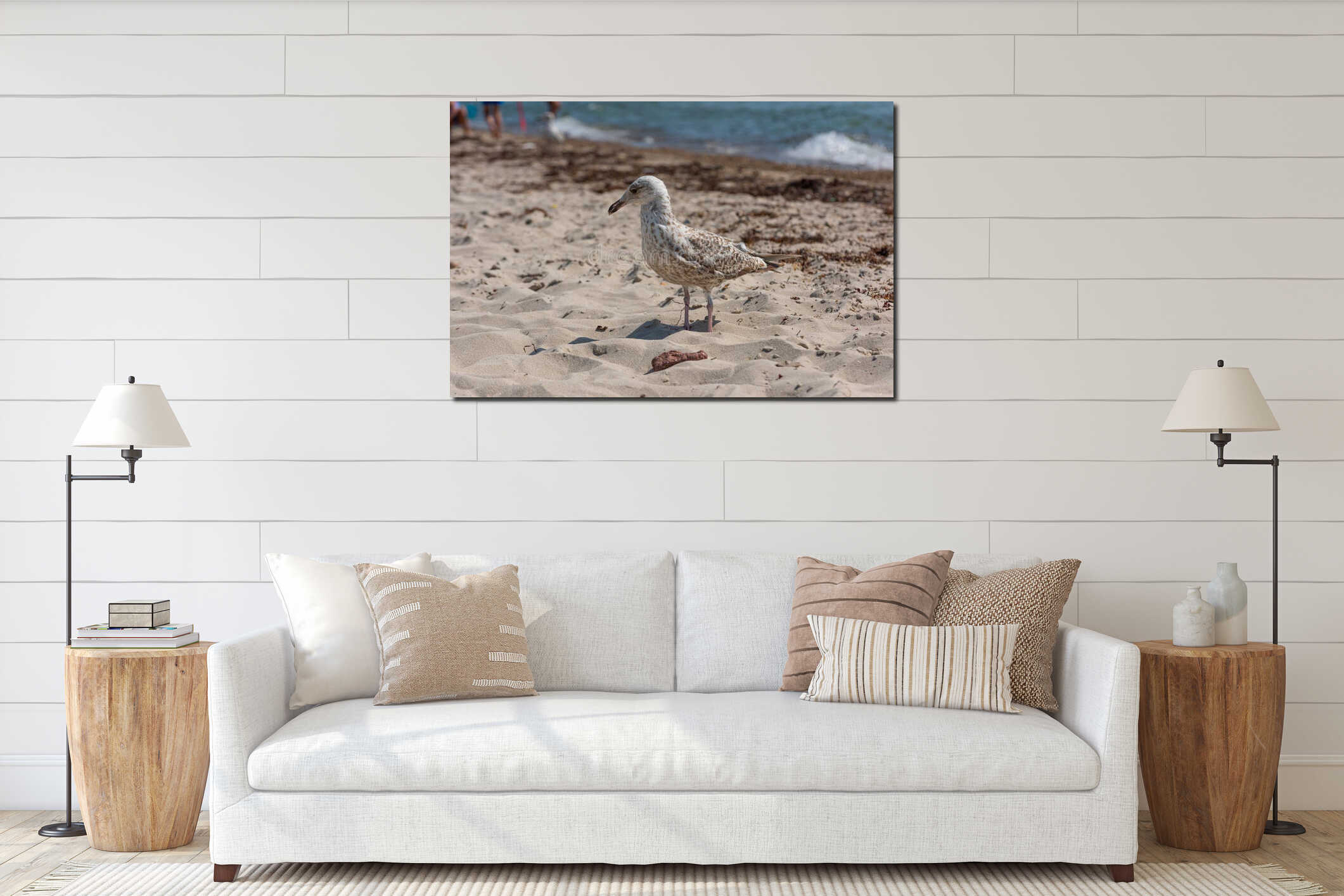 Young seagull walking on a sand beach.. interior mockup