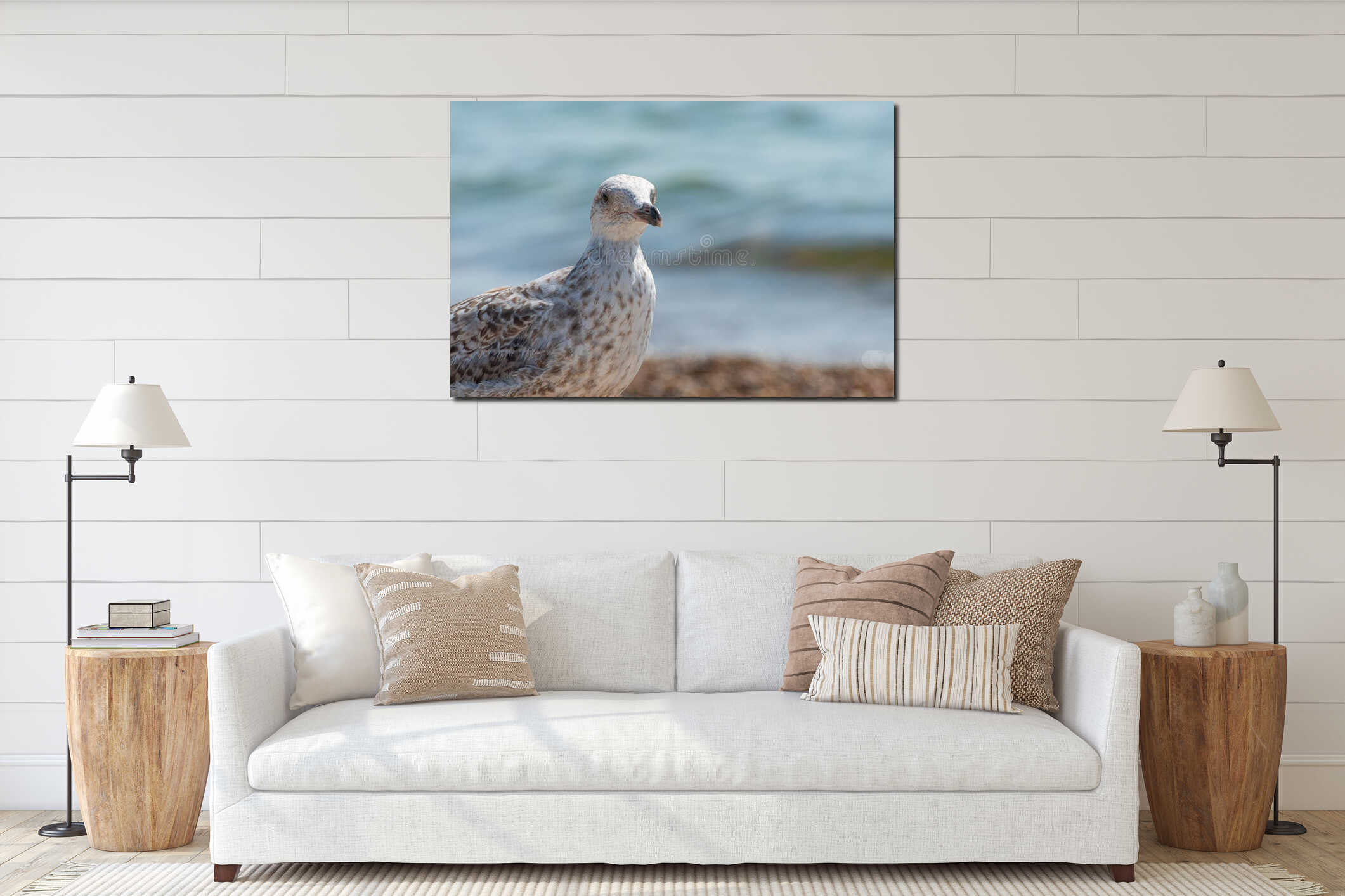 Young seagull walking on a sand beach.. interior mockup