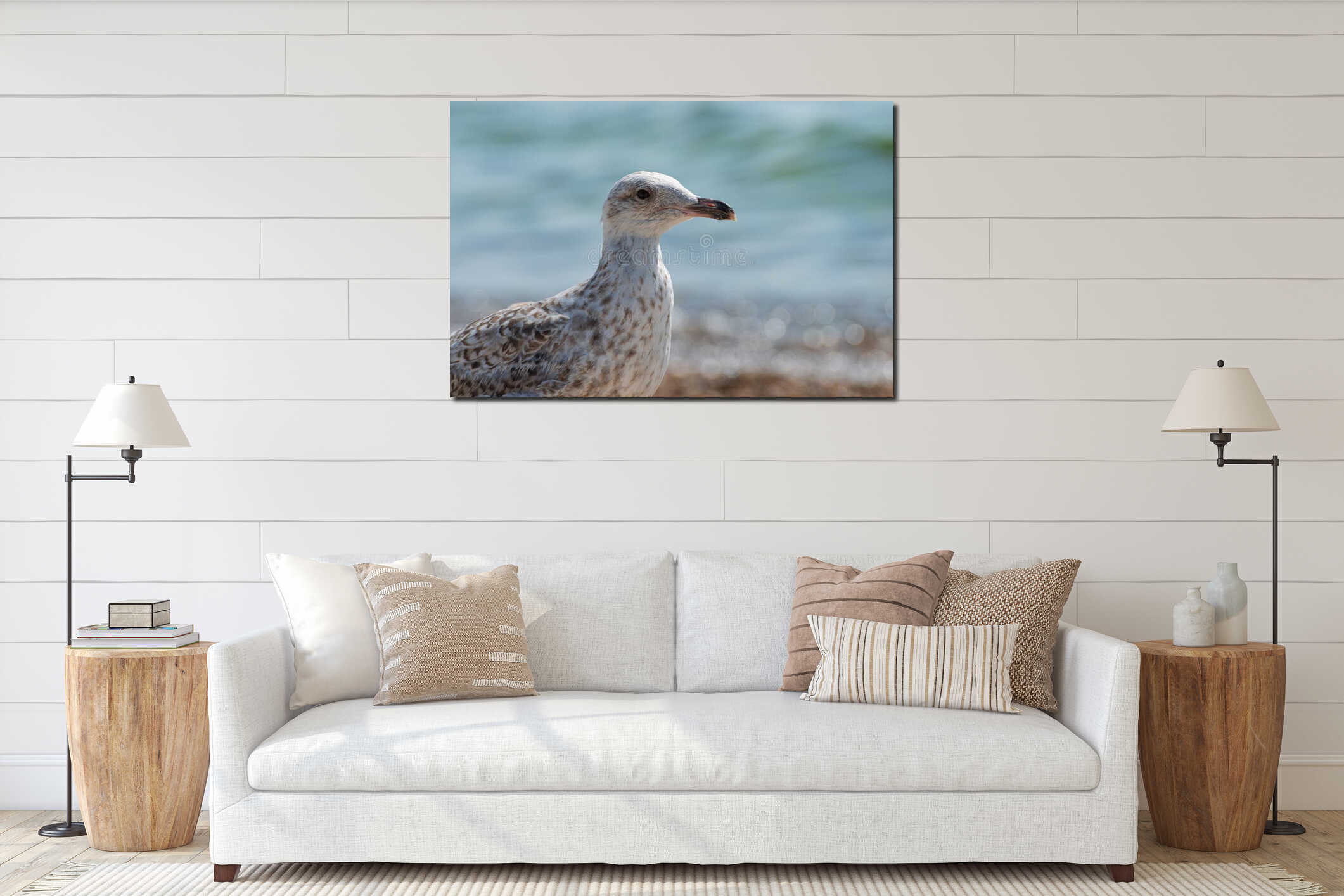 Young seagull walking on a sand beach.. interior mockup