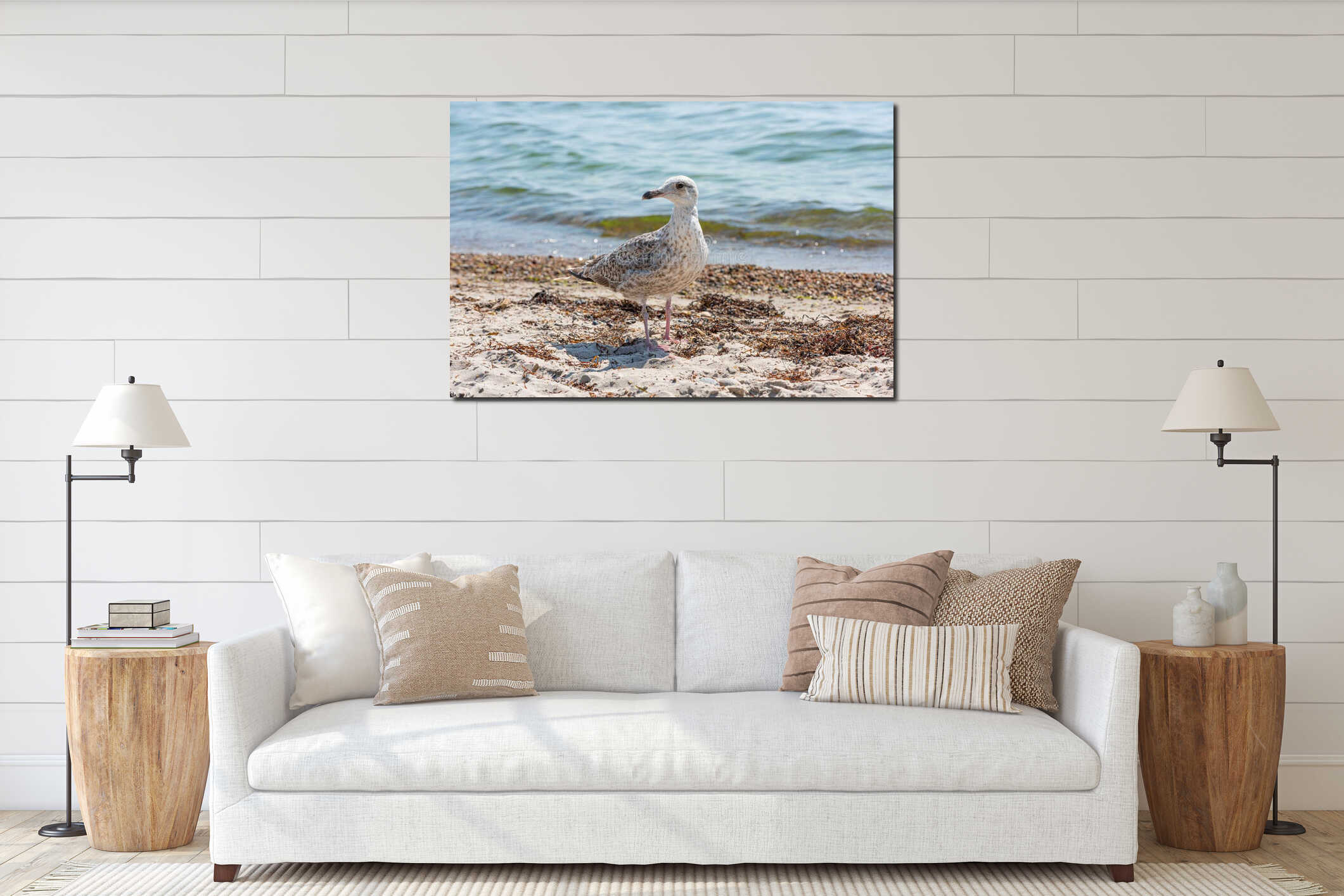 Young seagull walking on a sand beach.. interior mockup