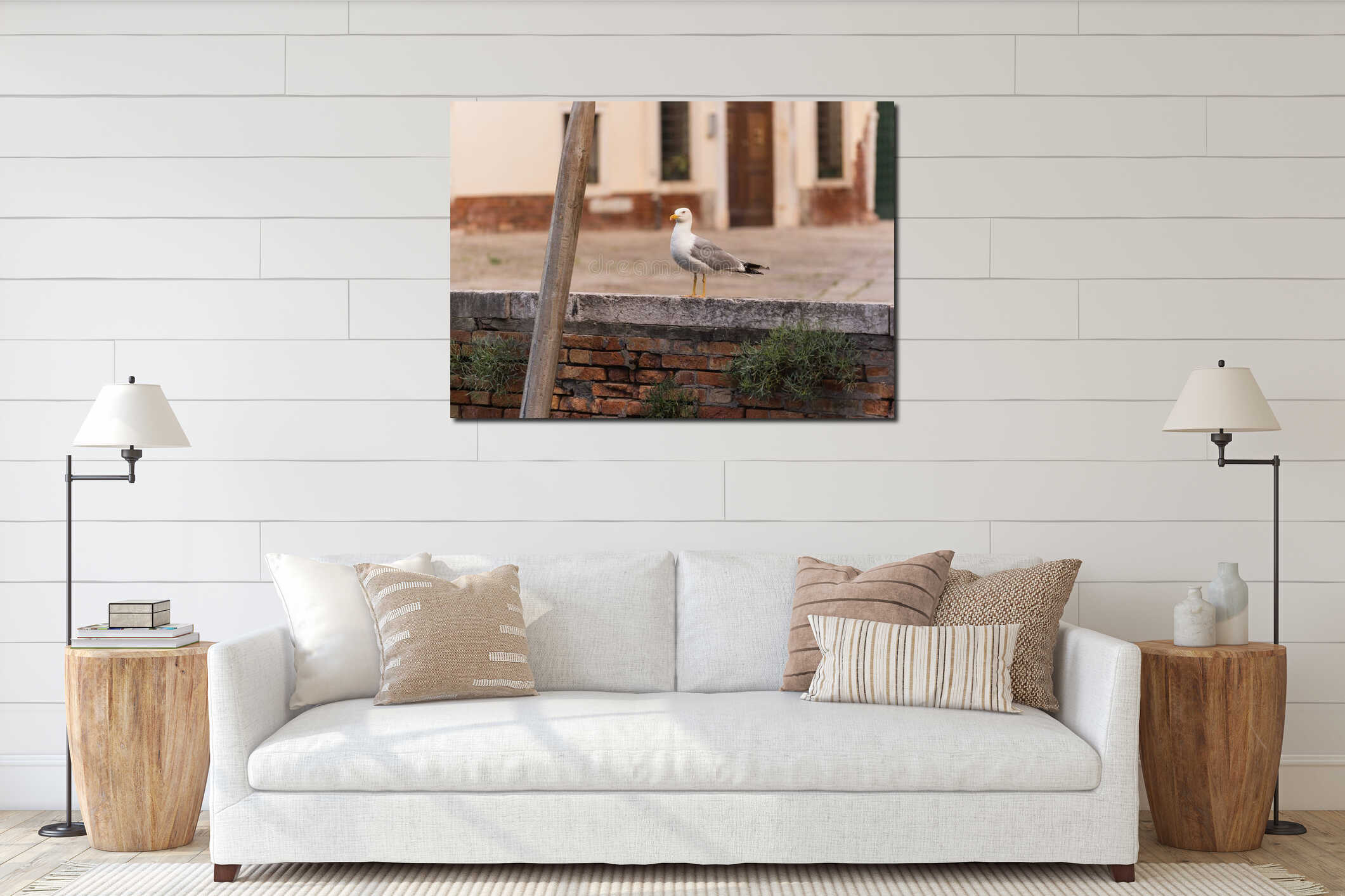 Seagull standing on short wall by a canal in Venice, Italy interior mockup