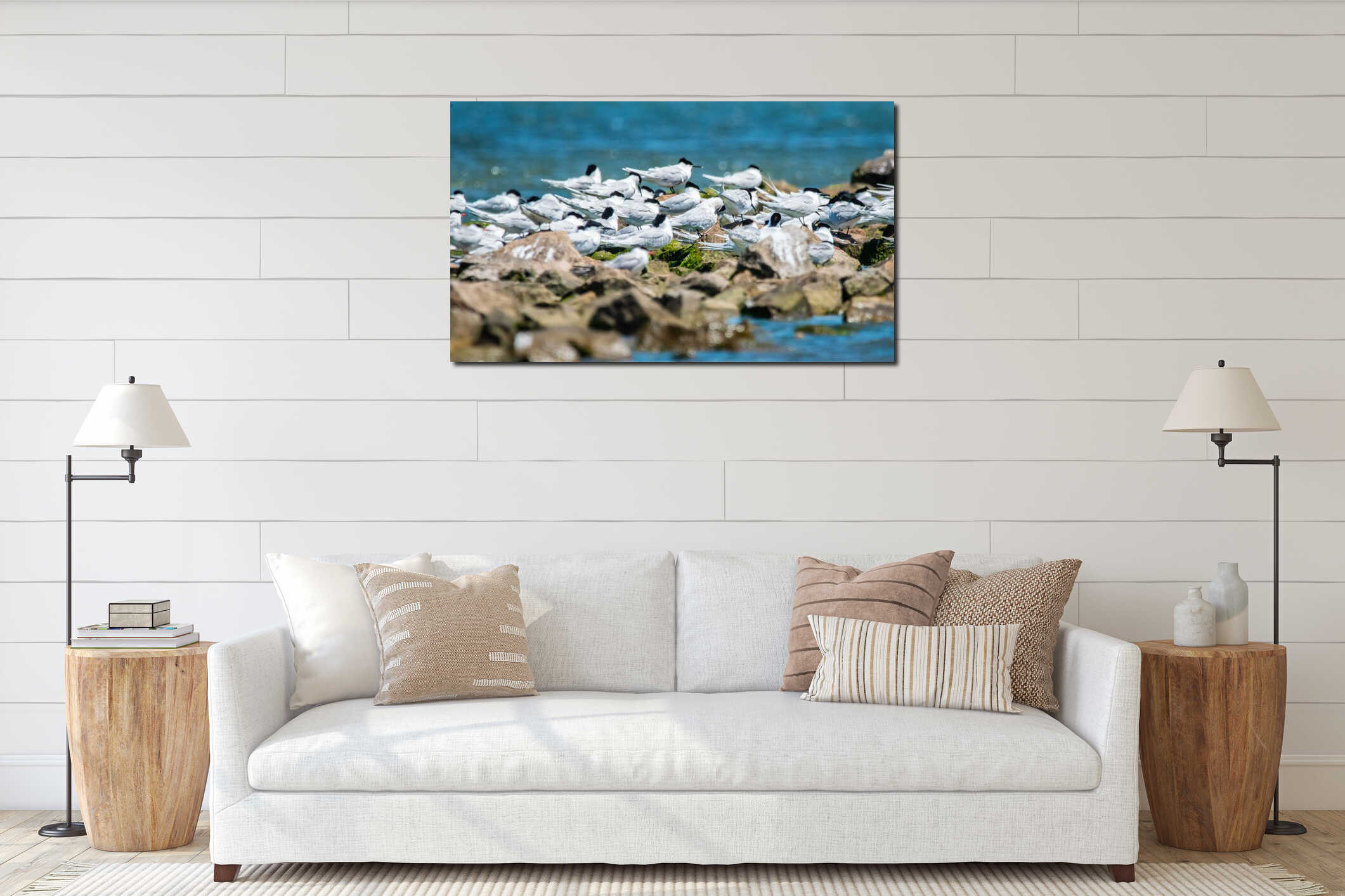 A flock of Sandwich terns resting on a rocky sea shore beach interior mockup