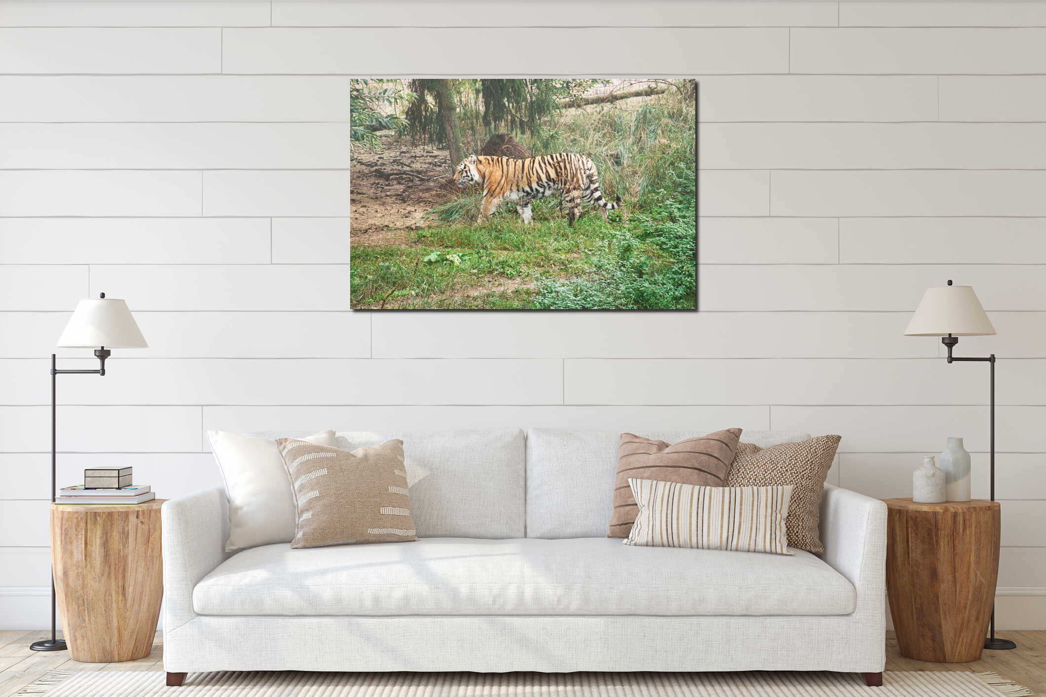 Siberian tiger. Elegant big cat. endangered predator. white,black,orange striped fur interior mockup
