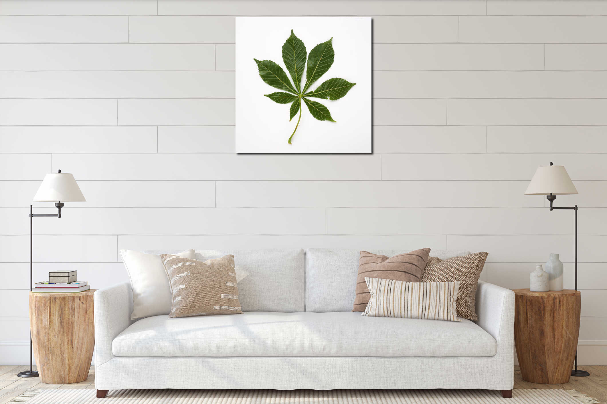 Chestnut leaf on a white background. The leaves are large, 7 - palmate, opposite, with long petioles. Horse chestnut interior mockup