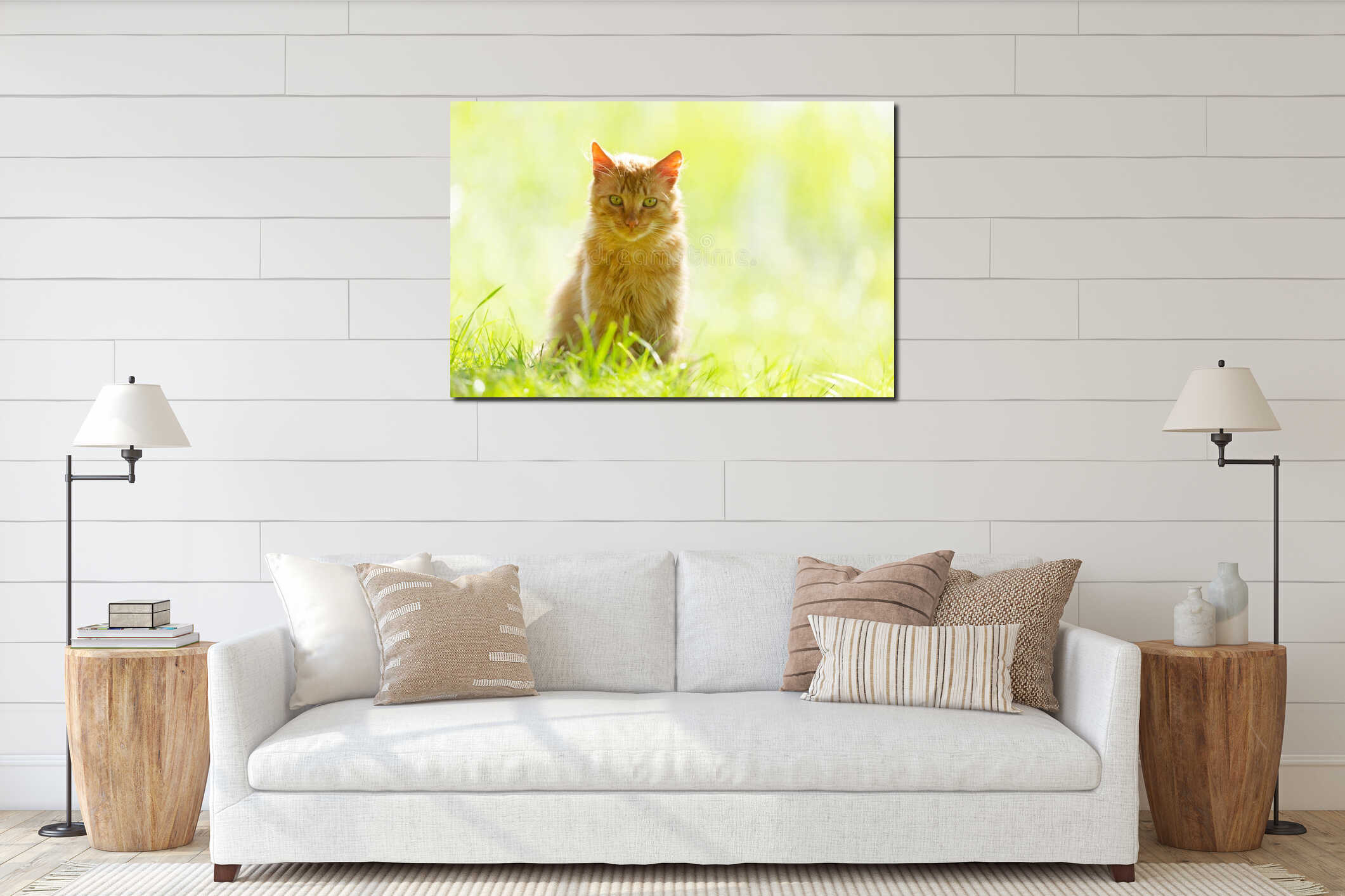 Fluffy red cat sitting on the grass interior mockup