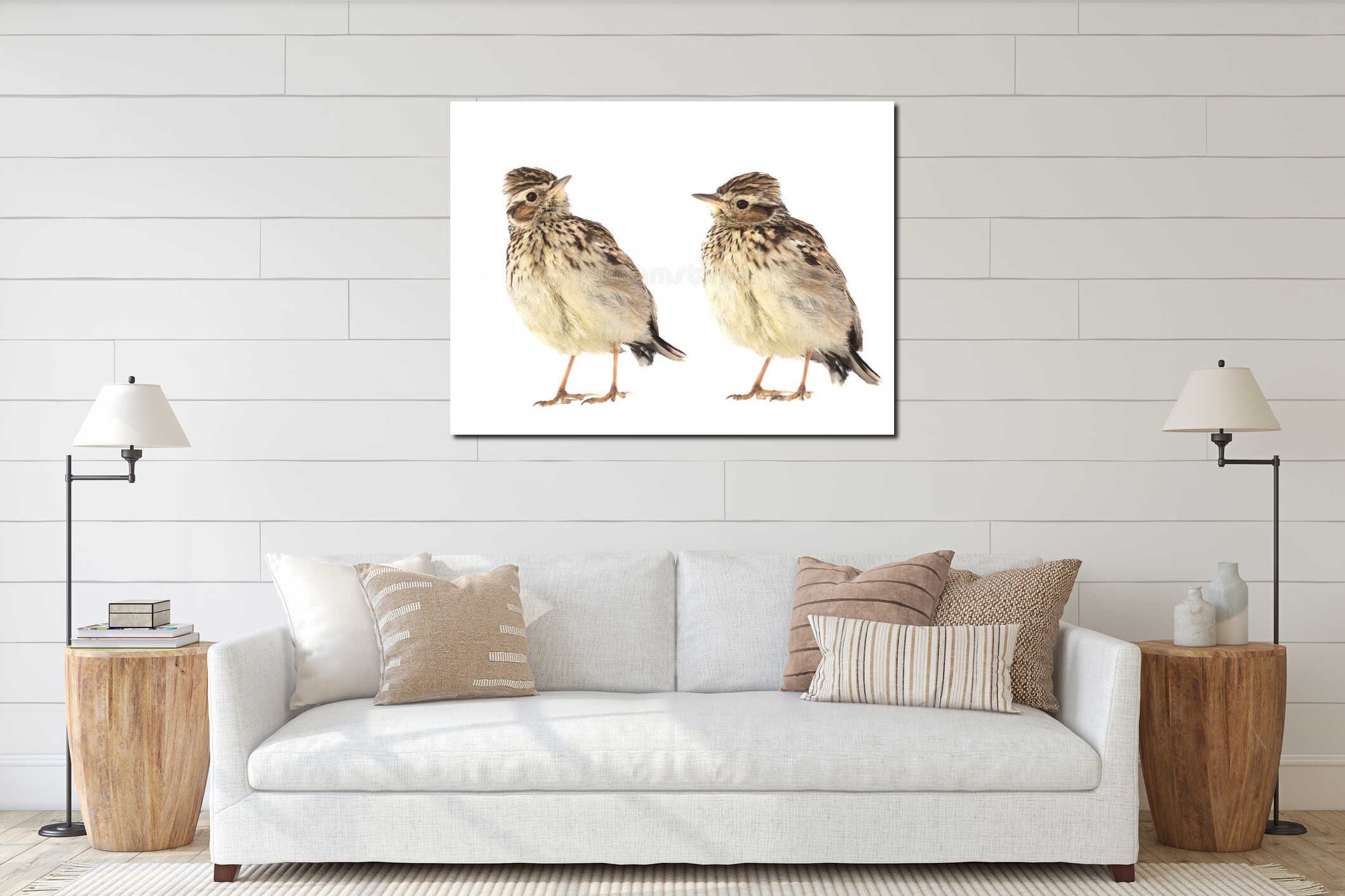 Wood Lark isolated on a white background interior mockup