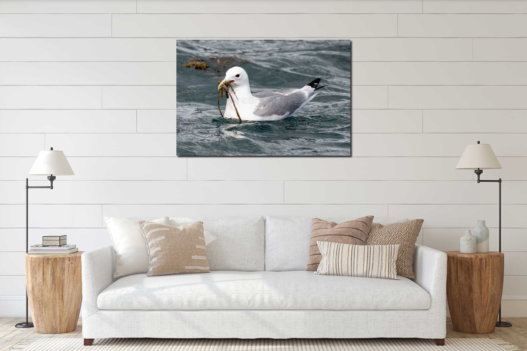 A seagull is swimming on the water with seeweed into the bill interior mockup
