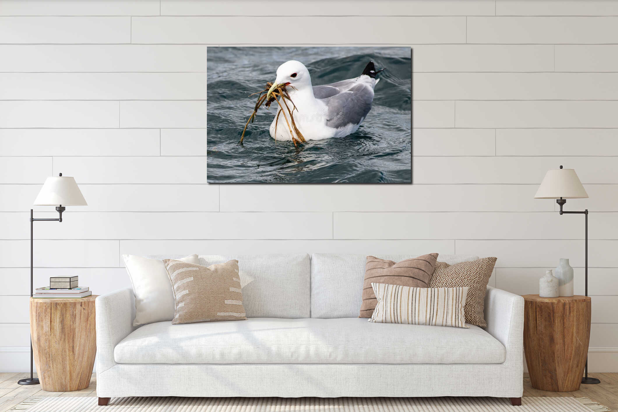 A seagull is swimming  with seeweed into the bill interior mockup