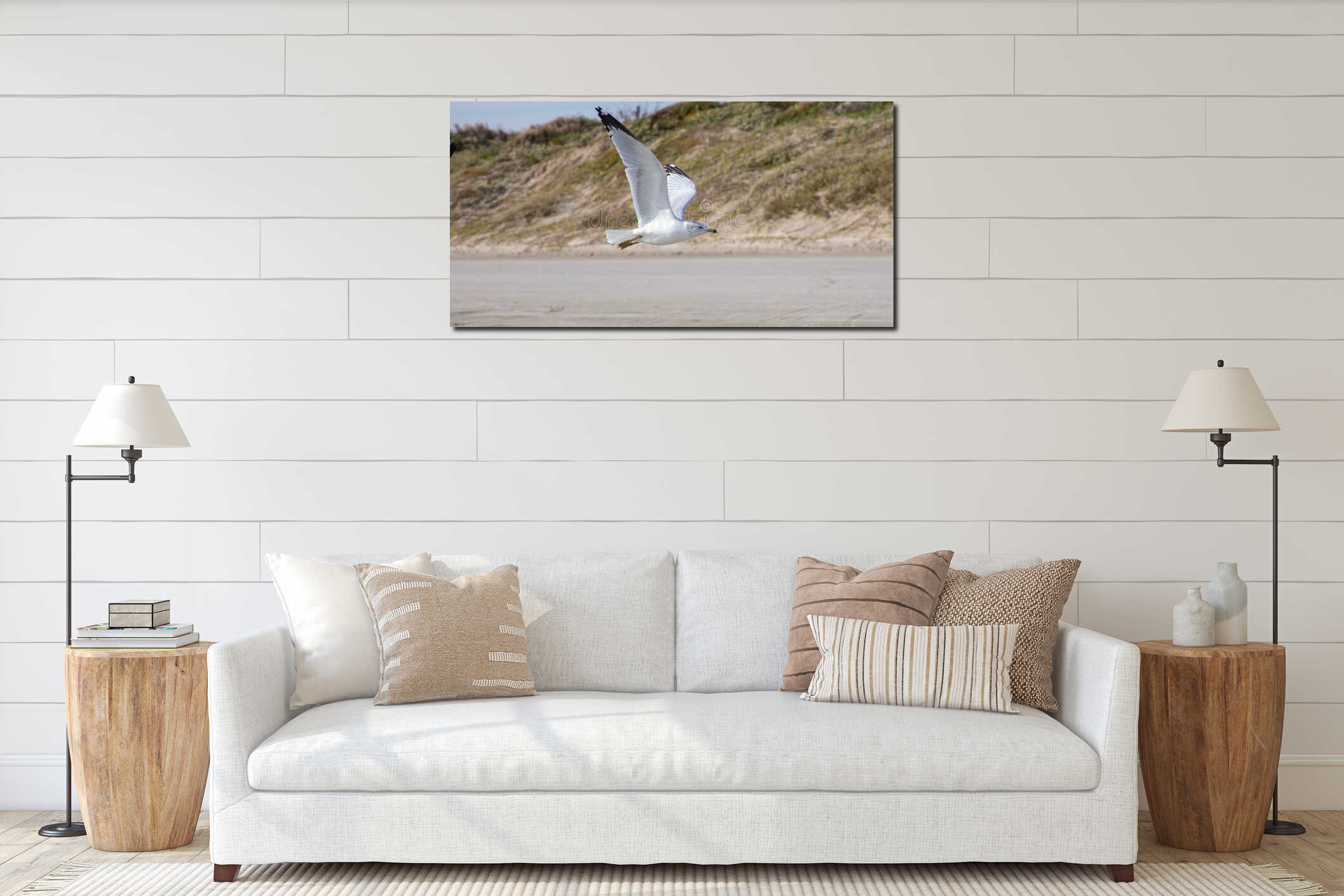 Solitary Seagull Flying in front of Sand Dune interior mockup