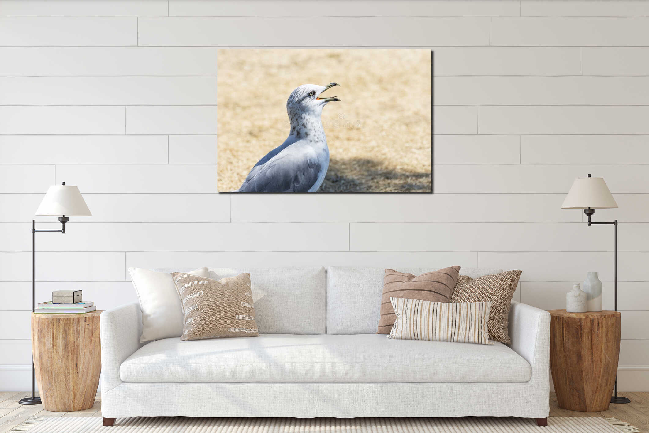Portrait of a Ring-billed gull (Larus Delawarensis) interior mockup