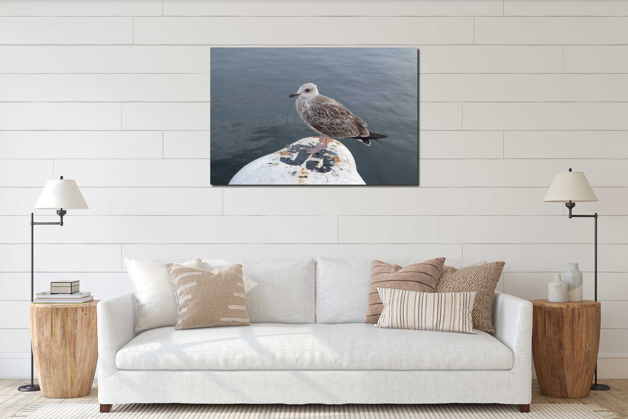 Young  gray European herring gull close interior mockup
