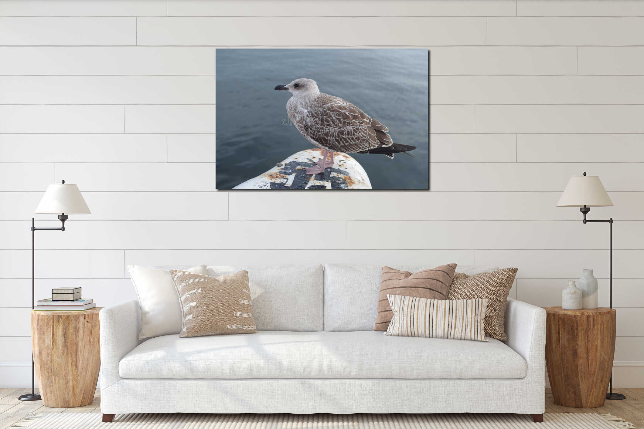 Young  gray European herring gull close interior mockup