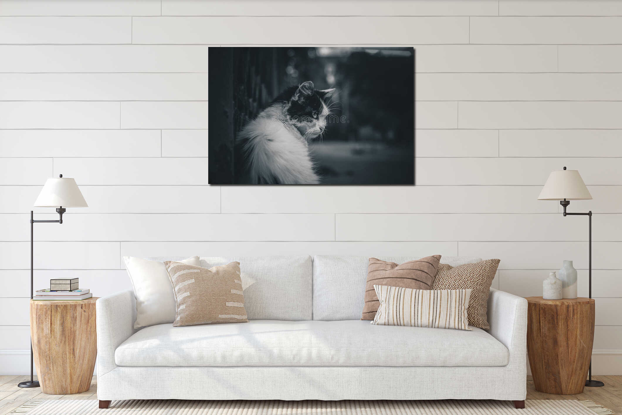 depressed, sad, hungry, homeless cat. street cat interior mockup