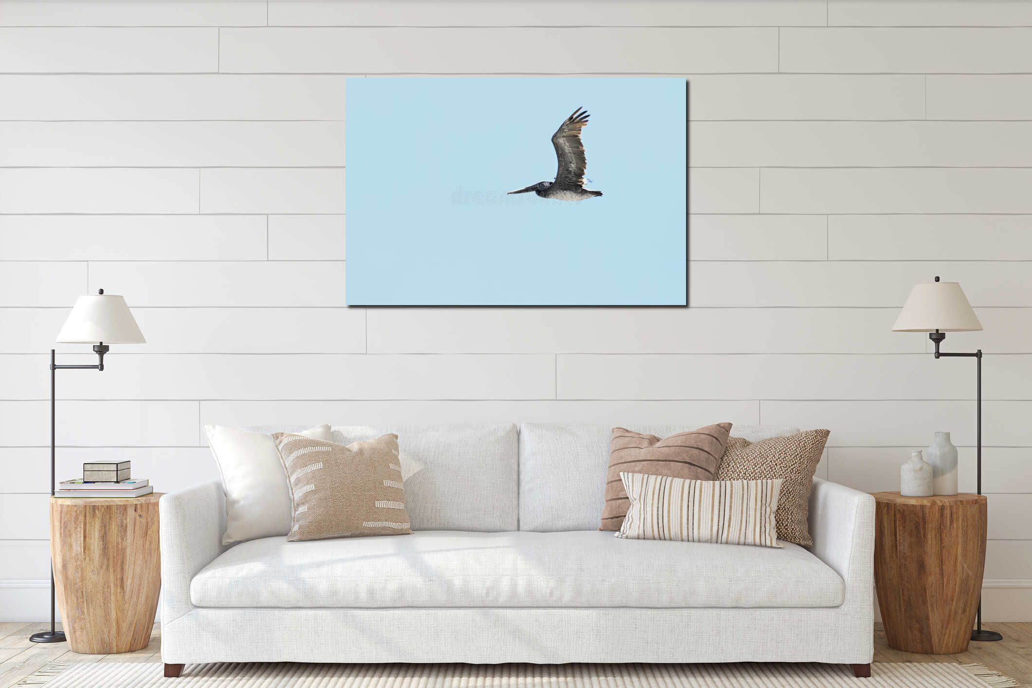 California brown pelicans against blue sky   24 interior mockup