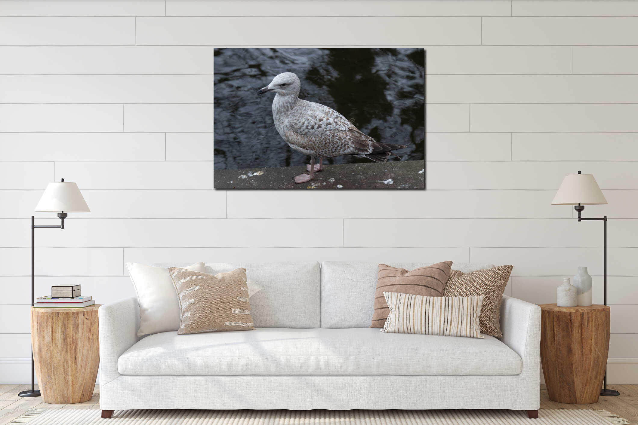 Seagulls on the pier, closeup photography, portrait of seagull, Dublin interior mockup