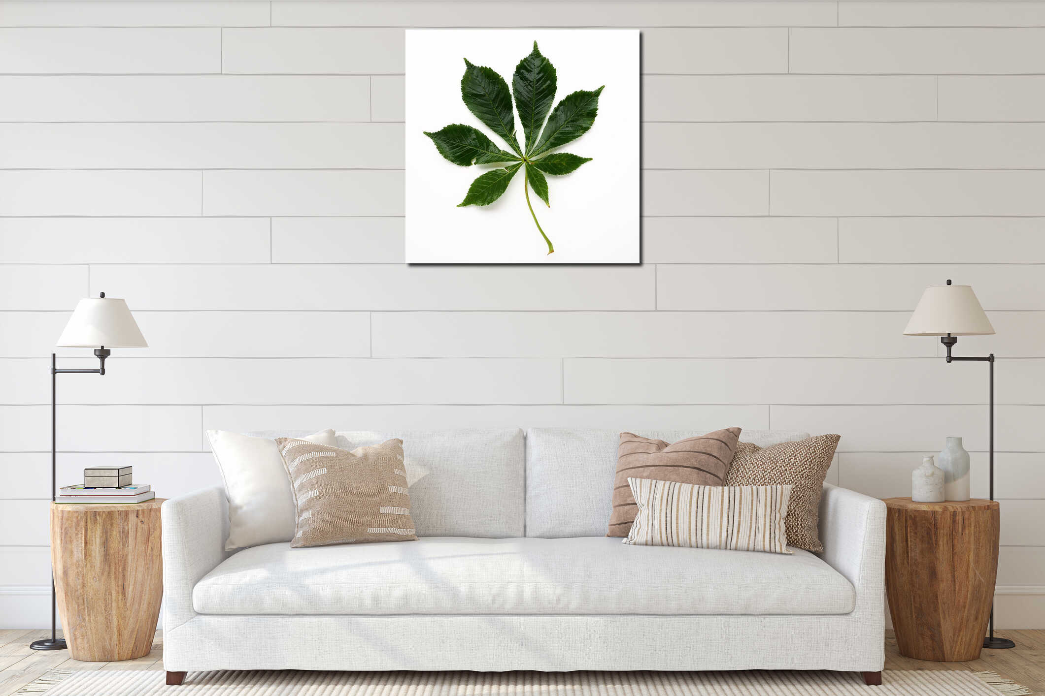 Chestnut leaf on a white background. The leaves are large, 7 - palmate, opposite, with long petioles. Horse chestnut interior mockup