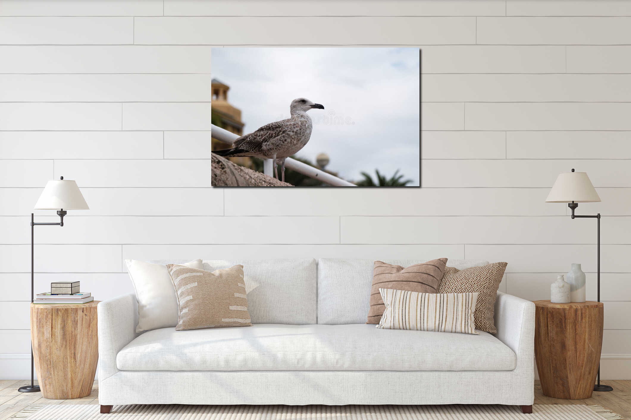 Silver gull bird posing on the promenade on the sea, seagull. interior mockup
