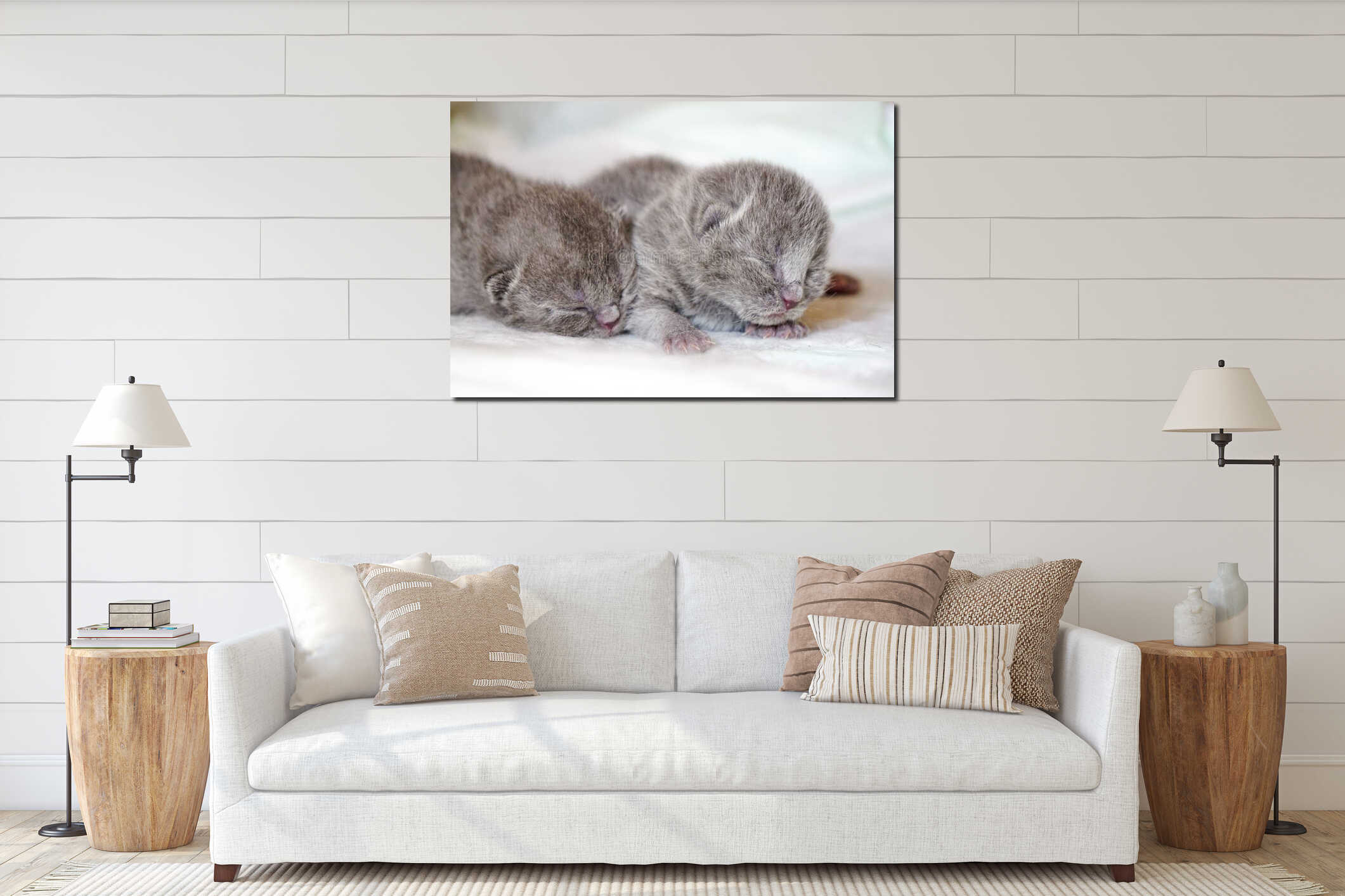 Close-up shot of newborn Scottish fold kittens sleeping on a white fabric interior mockup