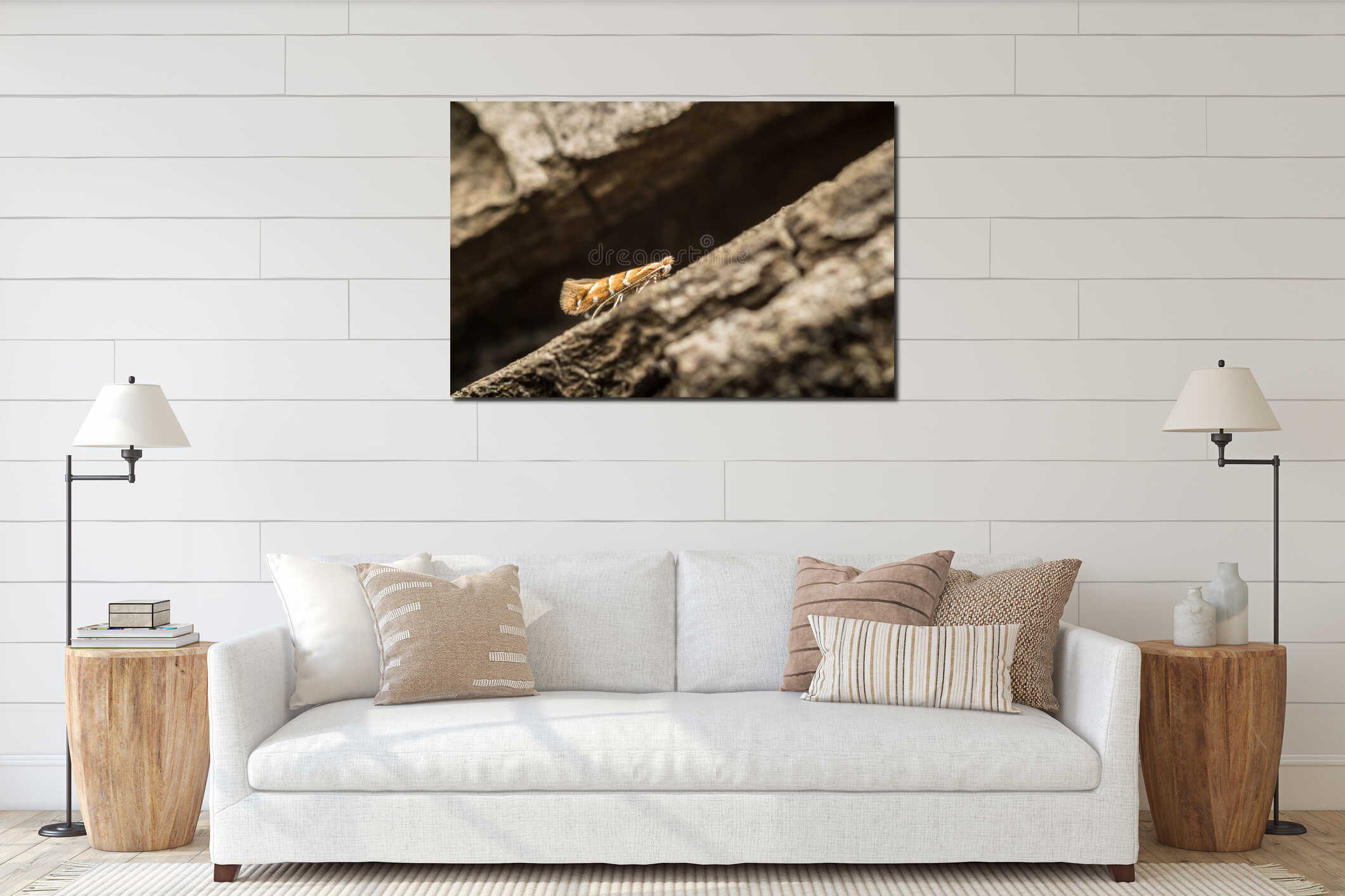 Horse Chestnut Leaf Miner interior mockup