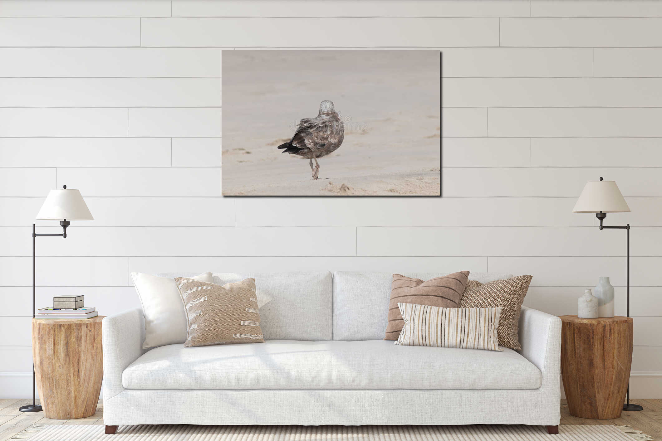 Pretty little shorebird posing for picture on the beach interior mockup
