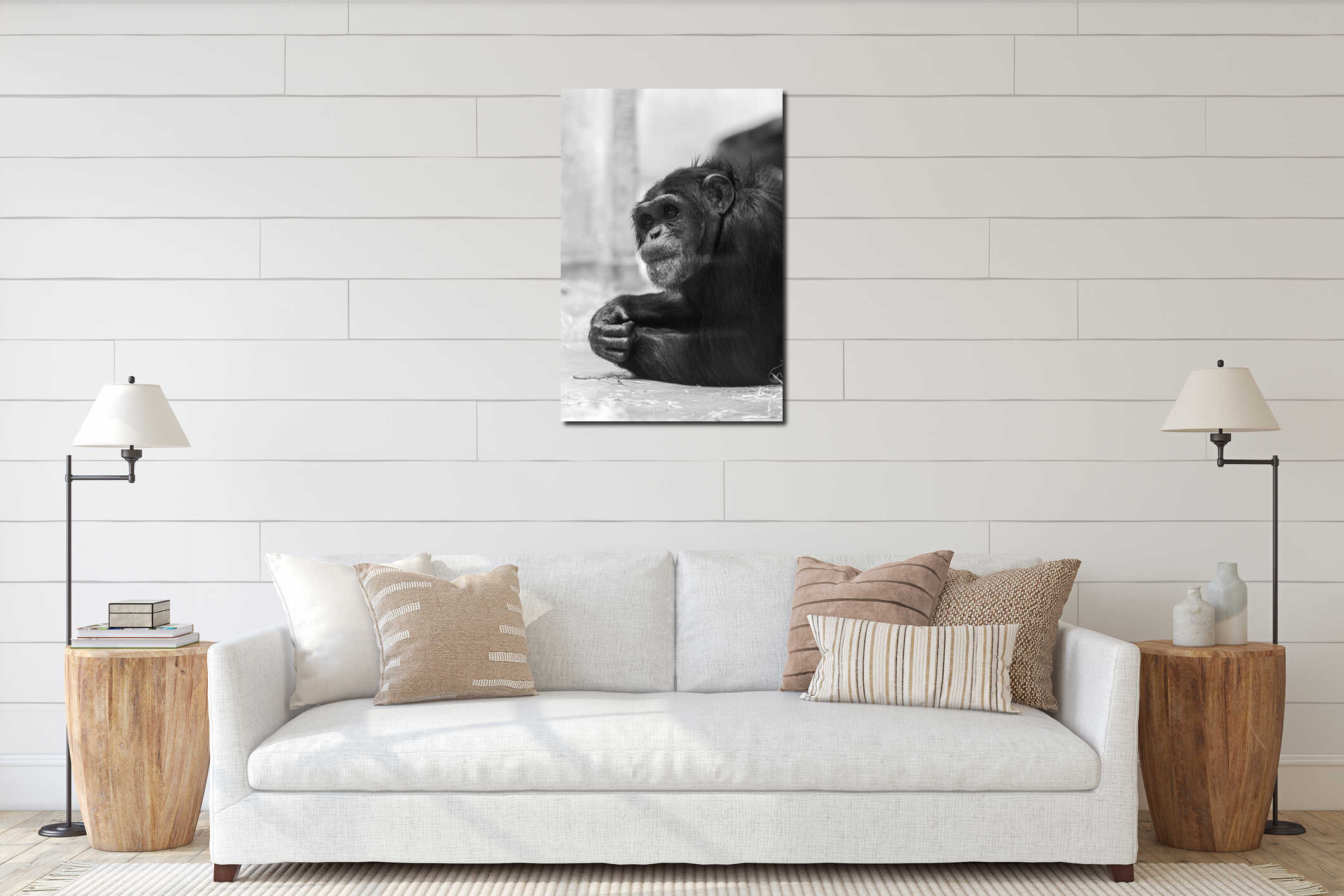 Vertical grayscale closeup of a chimpanzee. interior mockup