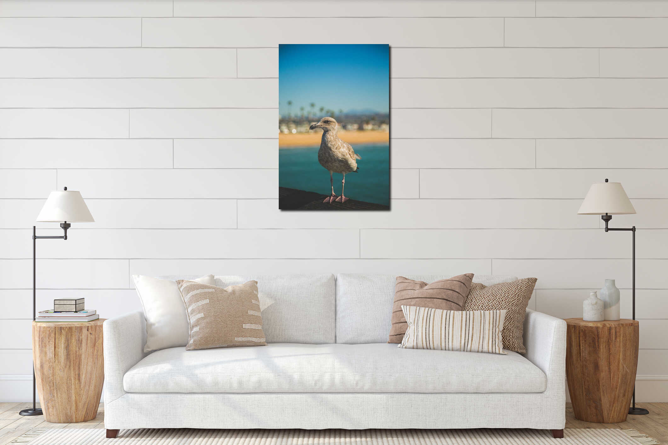 Vertical shot of seagull posing on the beach, Balboa Island, Newport Beach, California interior mockup