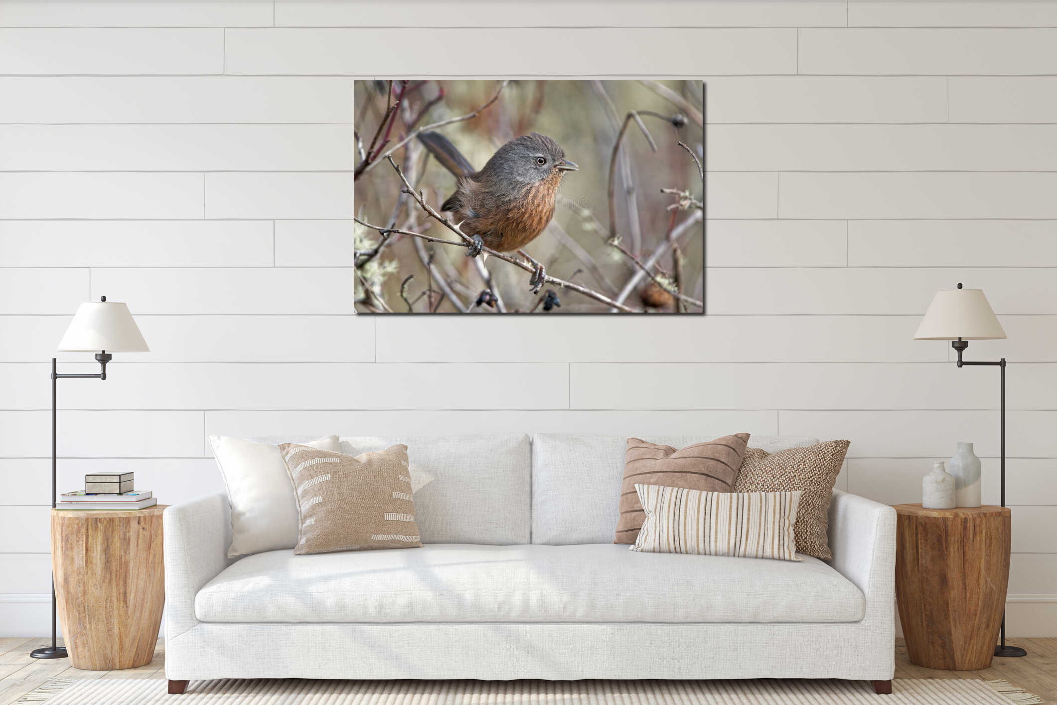 Closeup shot of a brown wrentit bird perched on a mossy tree branch interior mockup
