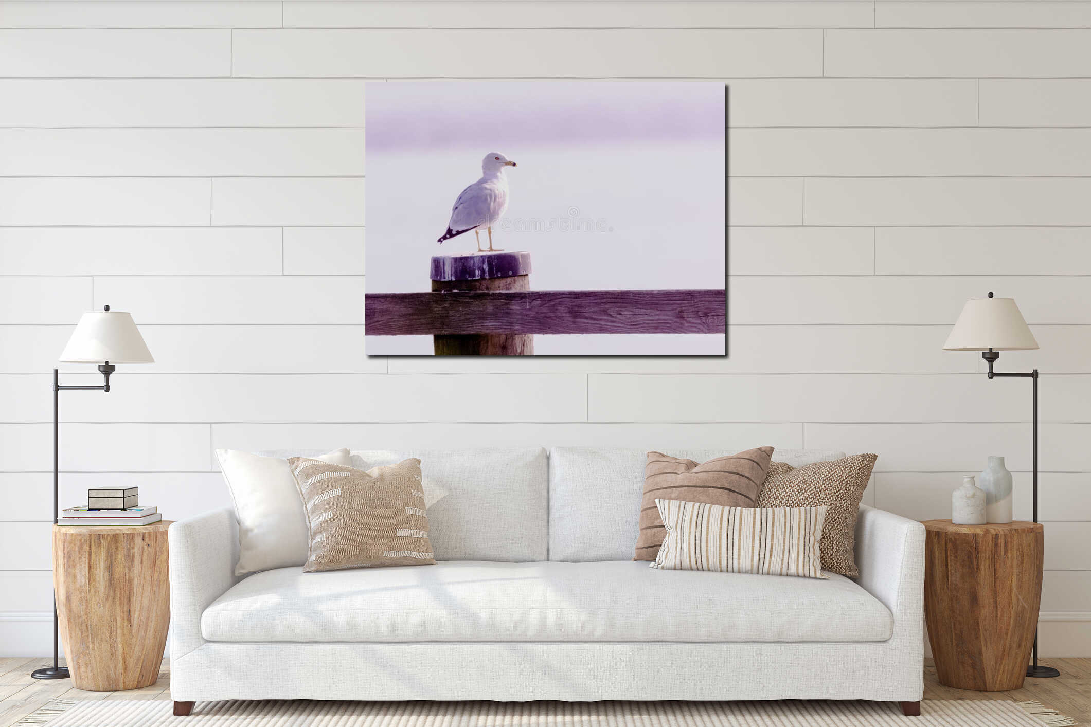 Closeup of a seagull perched on a wooden fence against a white background interior mockup