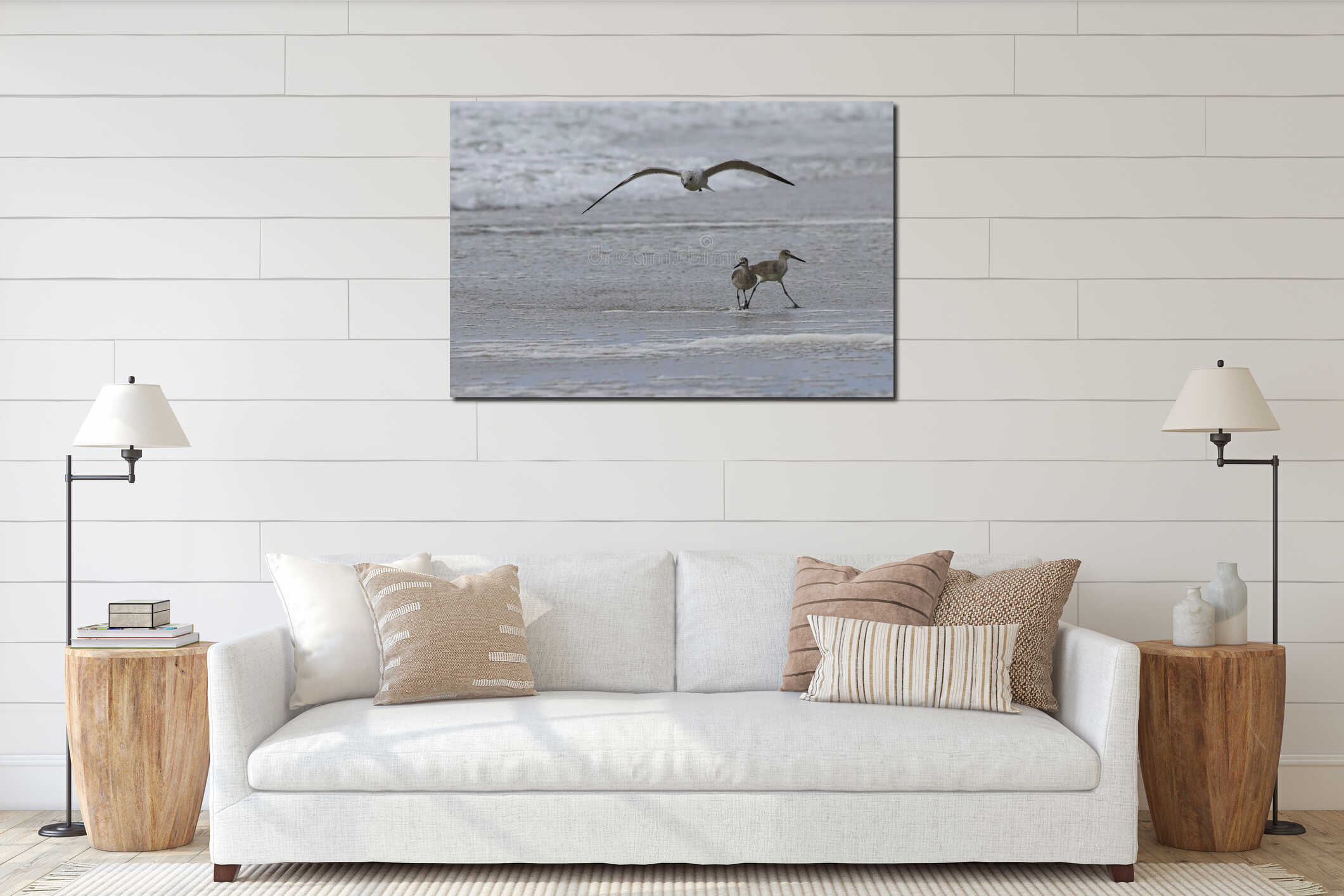Seagull flying with its wings spread, above two willet shorebird standing in the shallow water interior mockup