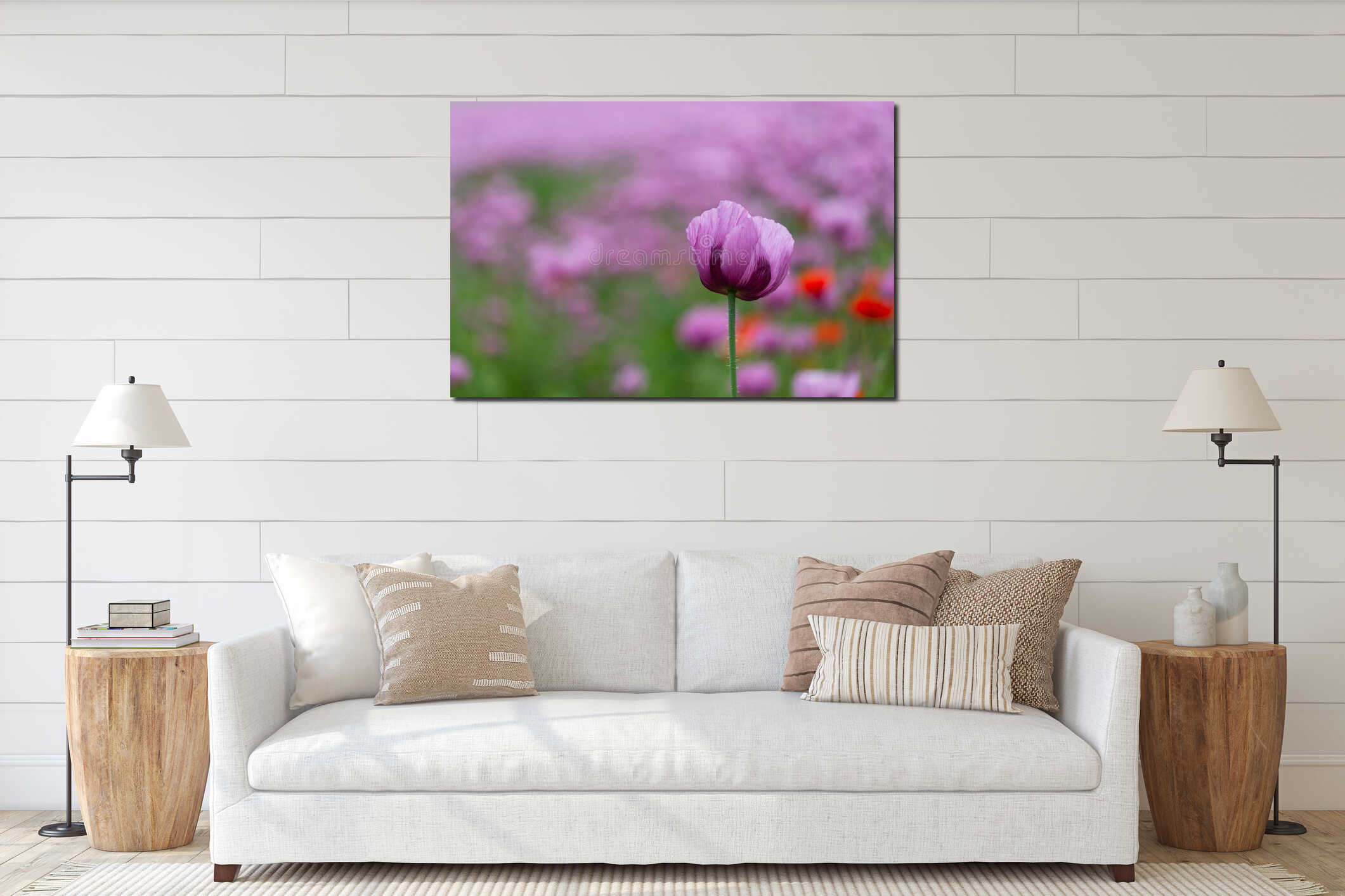Violet-pink flowers of the opium poppy with red poppys interior mockup