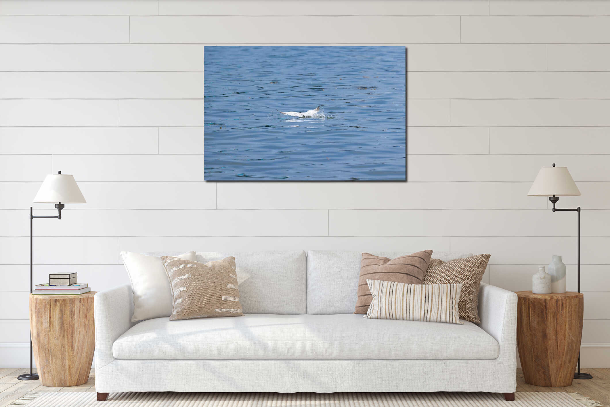 Closeup of a seagull flying above a tranquil sea and fishing on a sunny day interior mockup