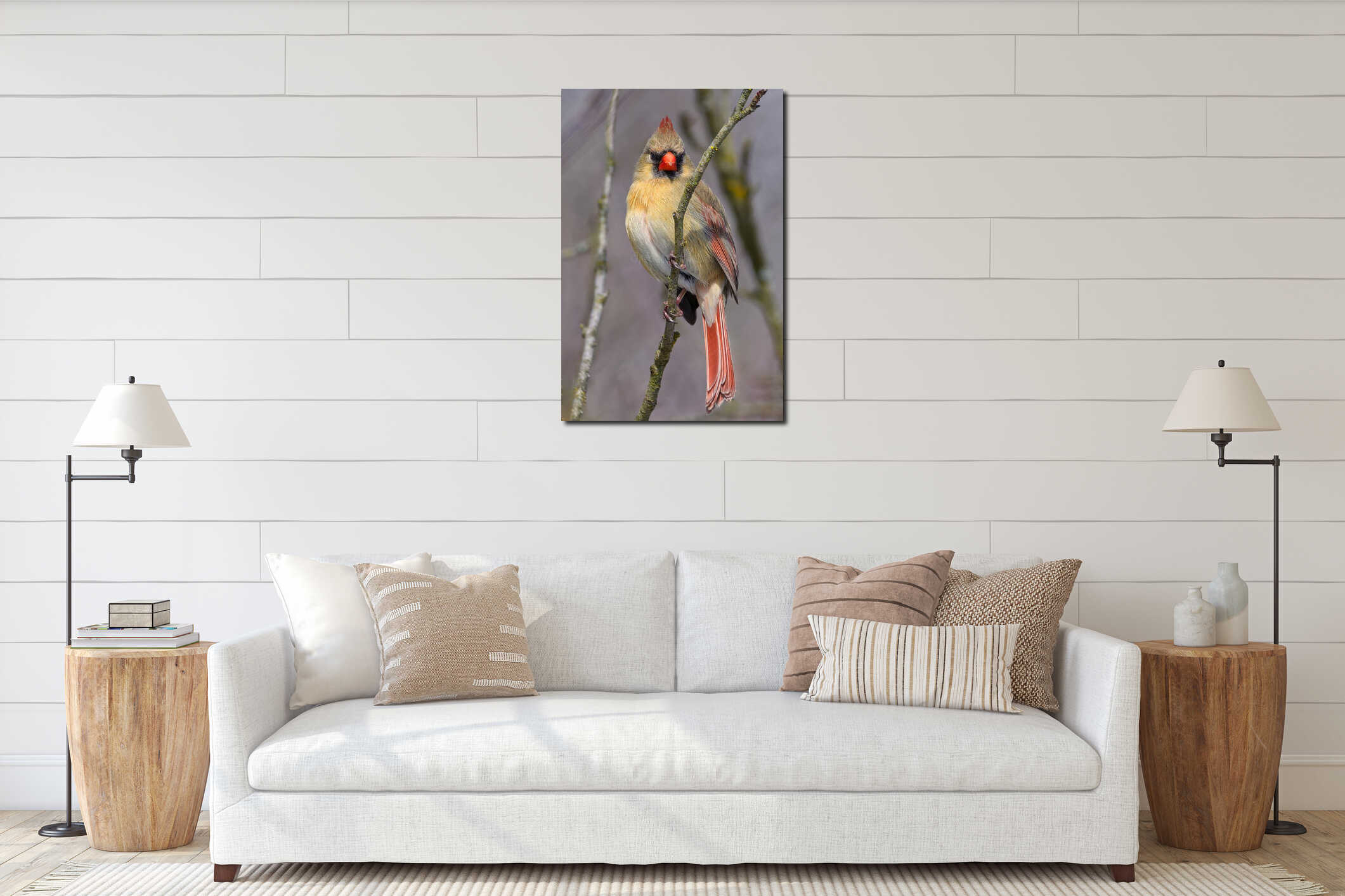 Portrait of a Female Northern Cardinal interior mockup