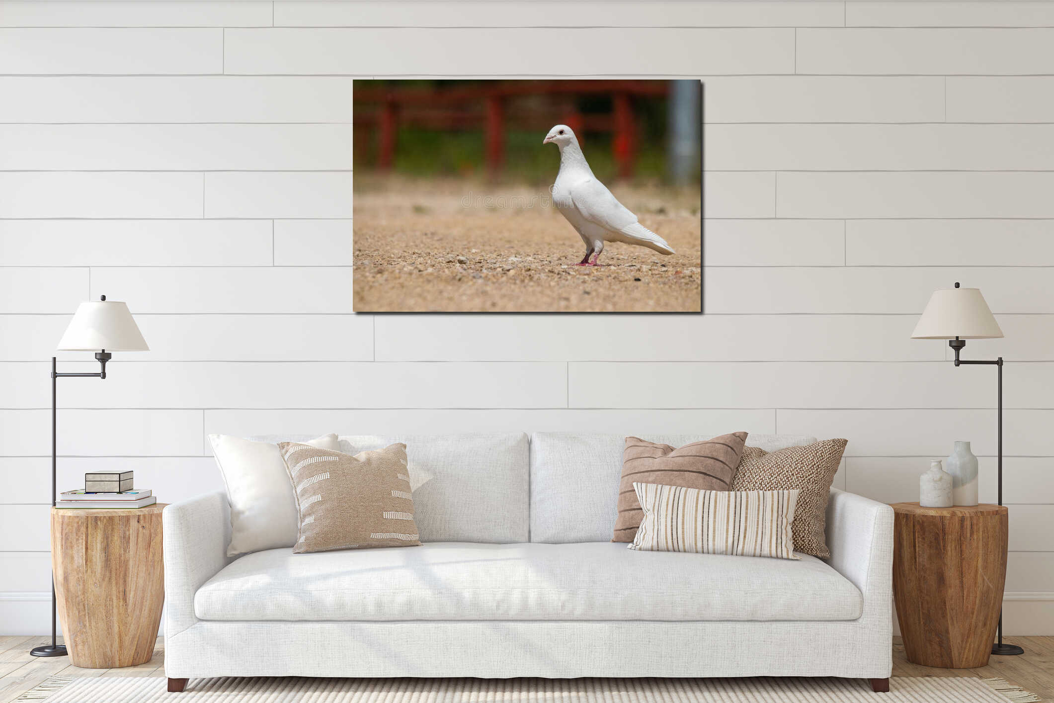White dove perched on the ground interior mockup