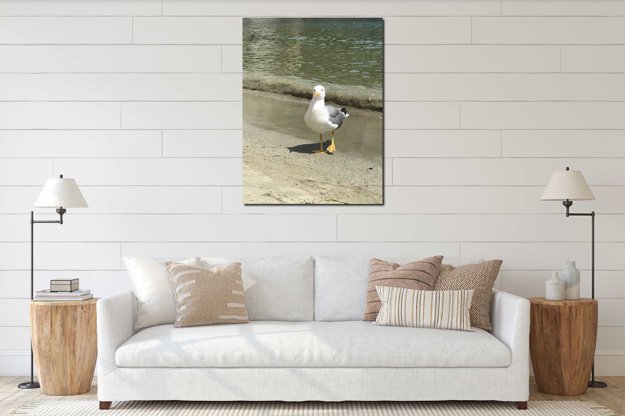 Seagull posing on the beach interior mockup